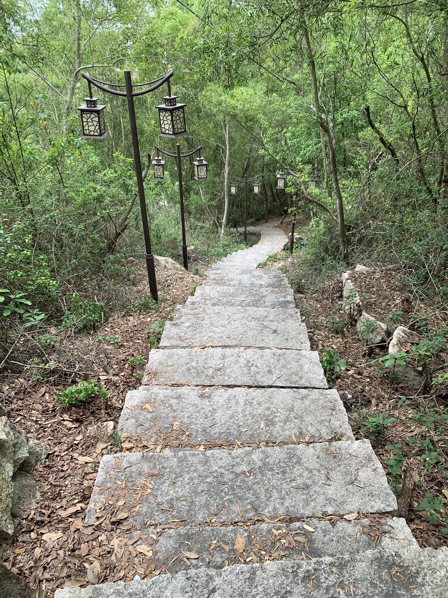 祥麟塔旅行图片 1