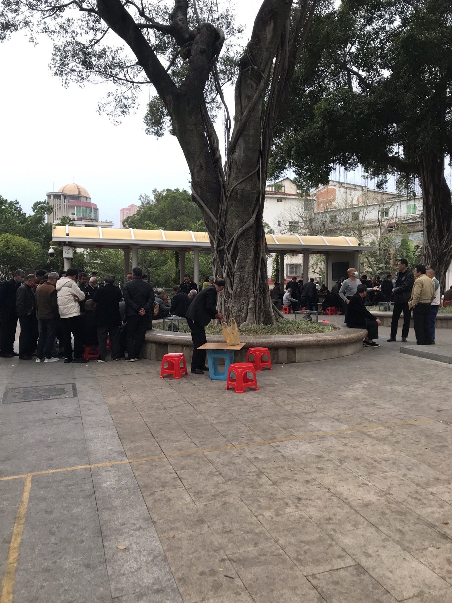 龙海中山公园旅行图片 3