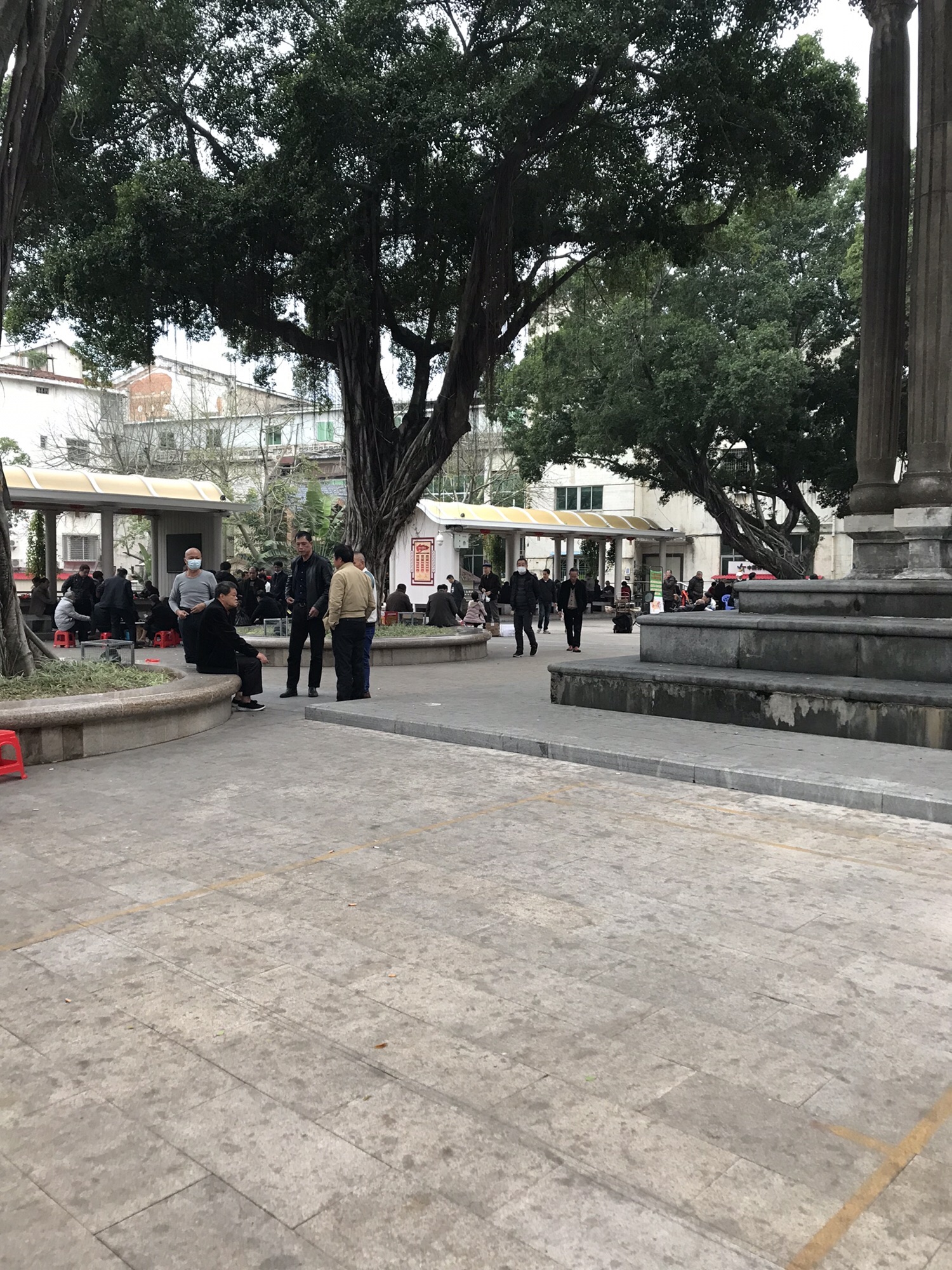 龙海中山公园旅行图片 2