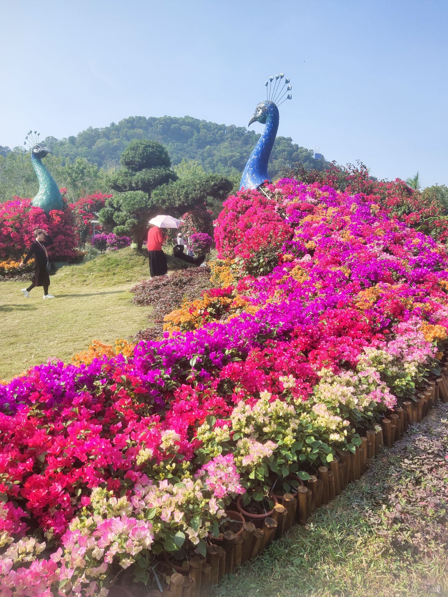 东南花都旅行图片 2