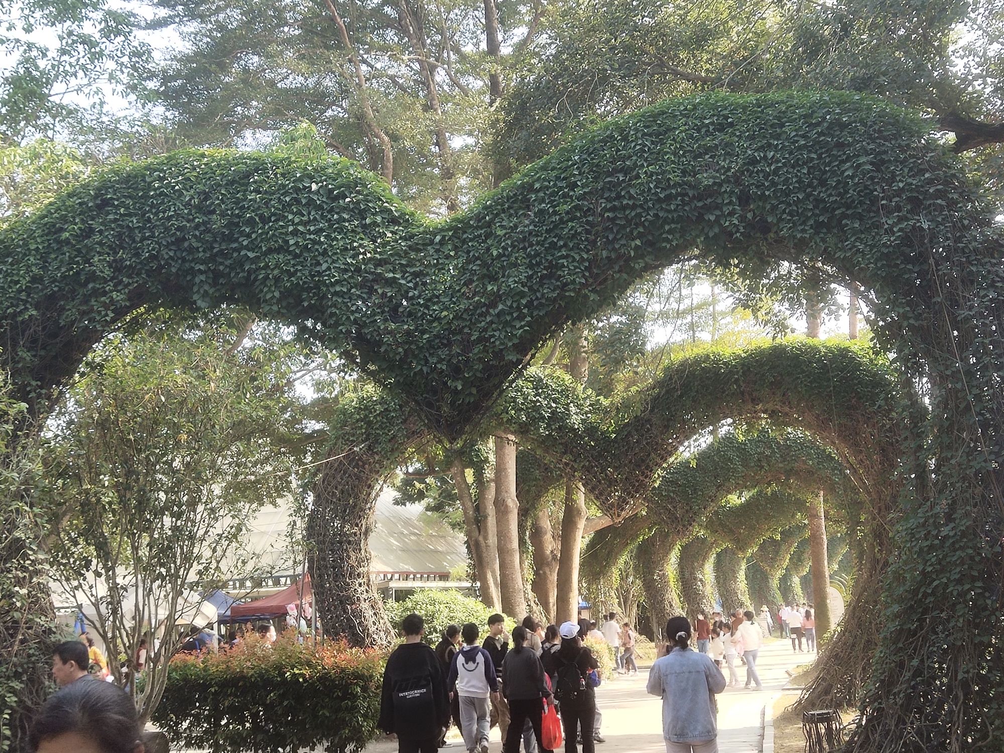 东南花都旅行图片 3