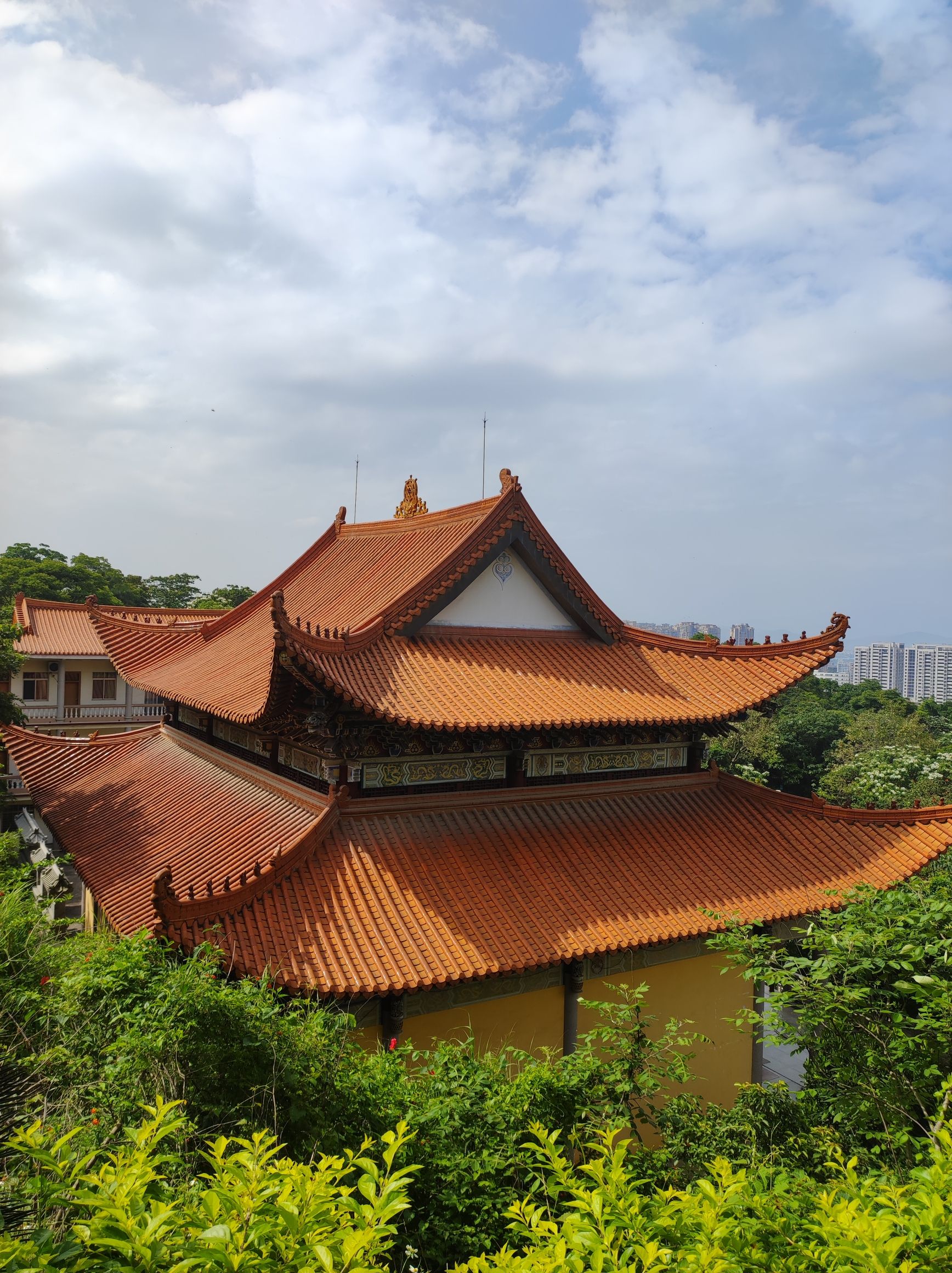 紫云公园旅行图片 1