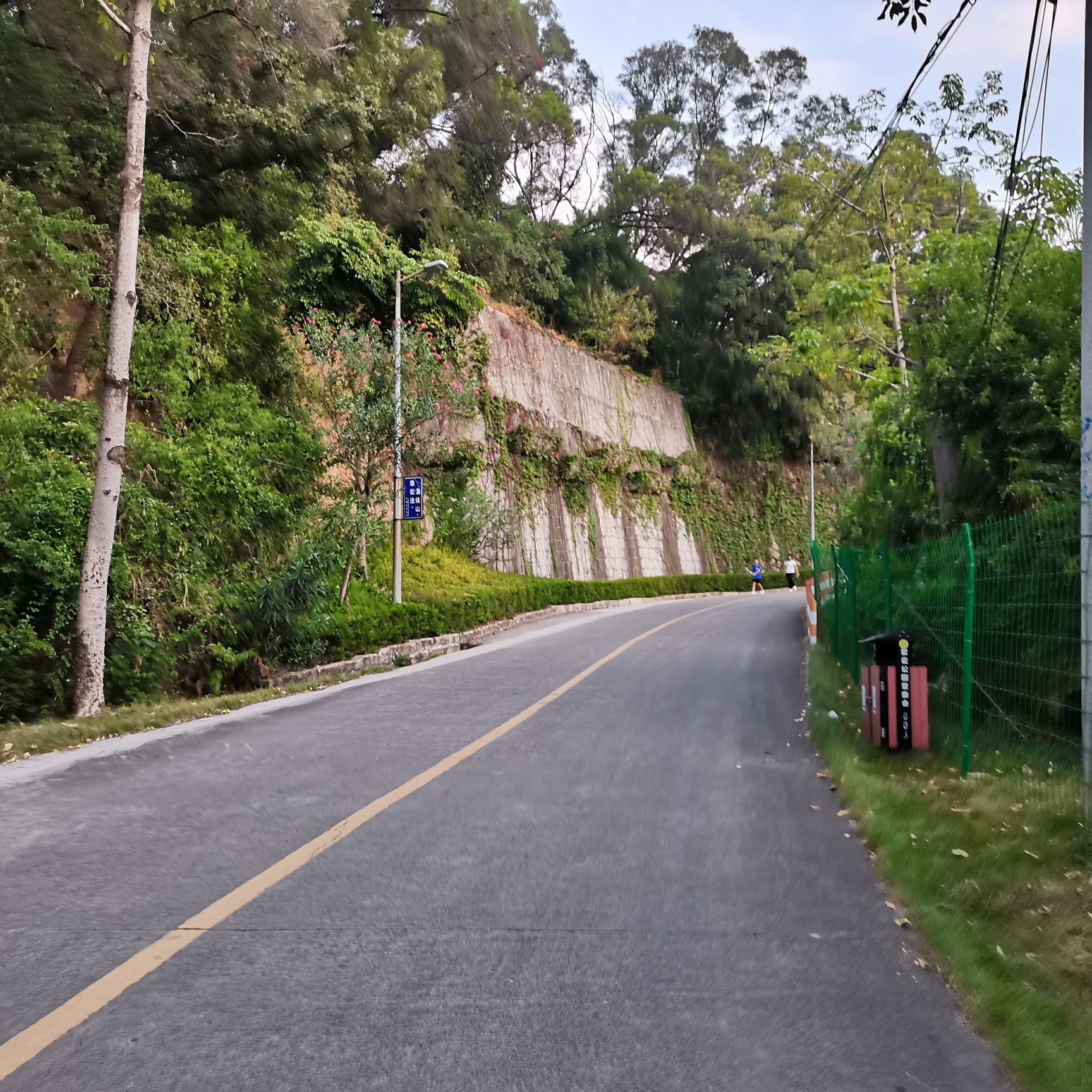 紫云公园旅行图片 2