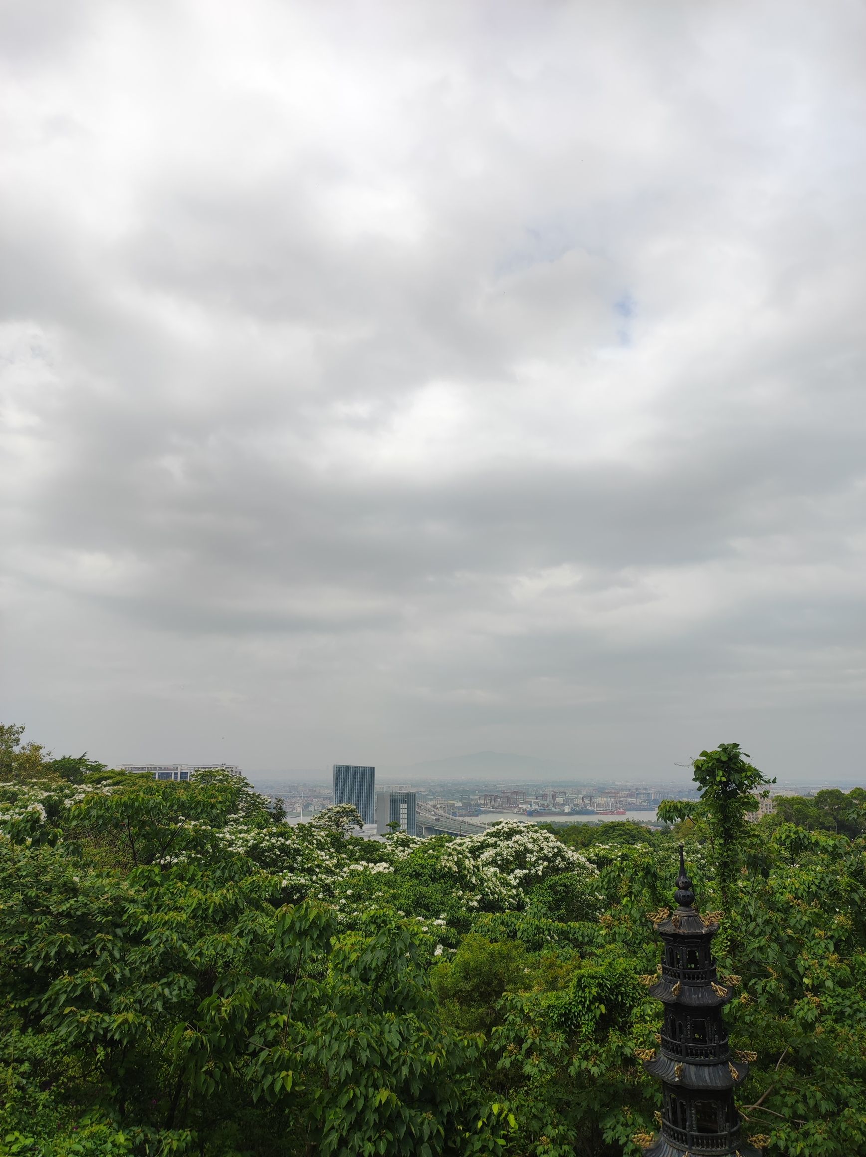 紫云公园旅行图片 2