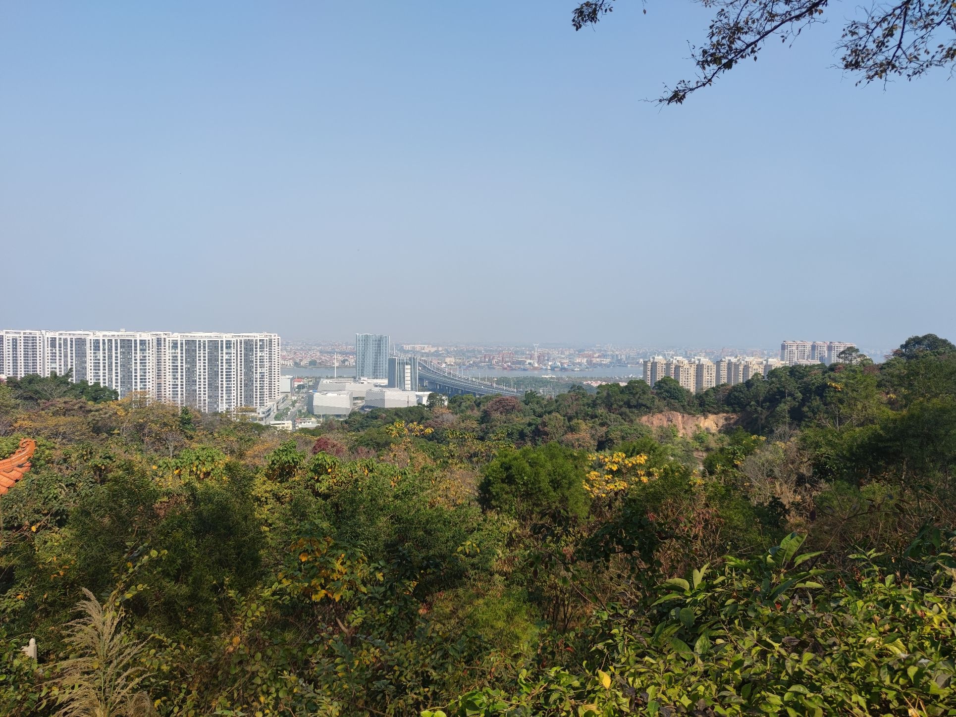 紫云公园旅行图片 2