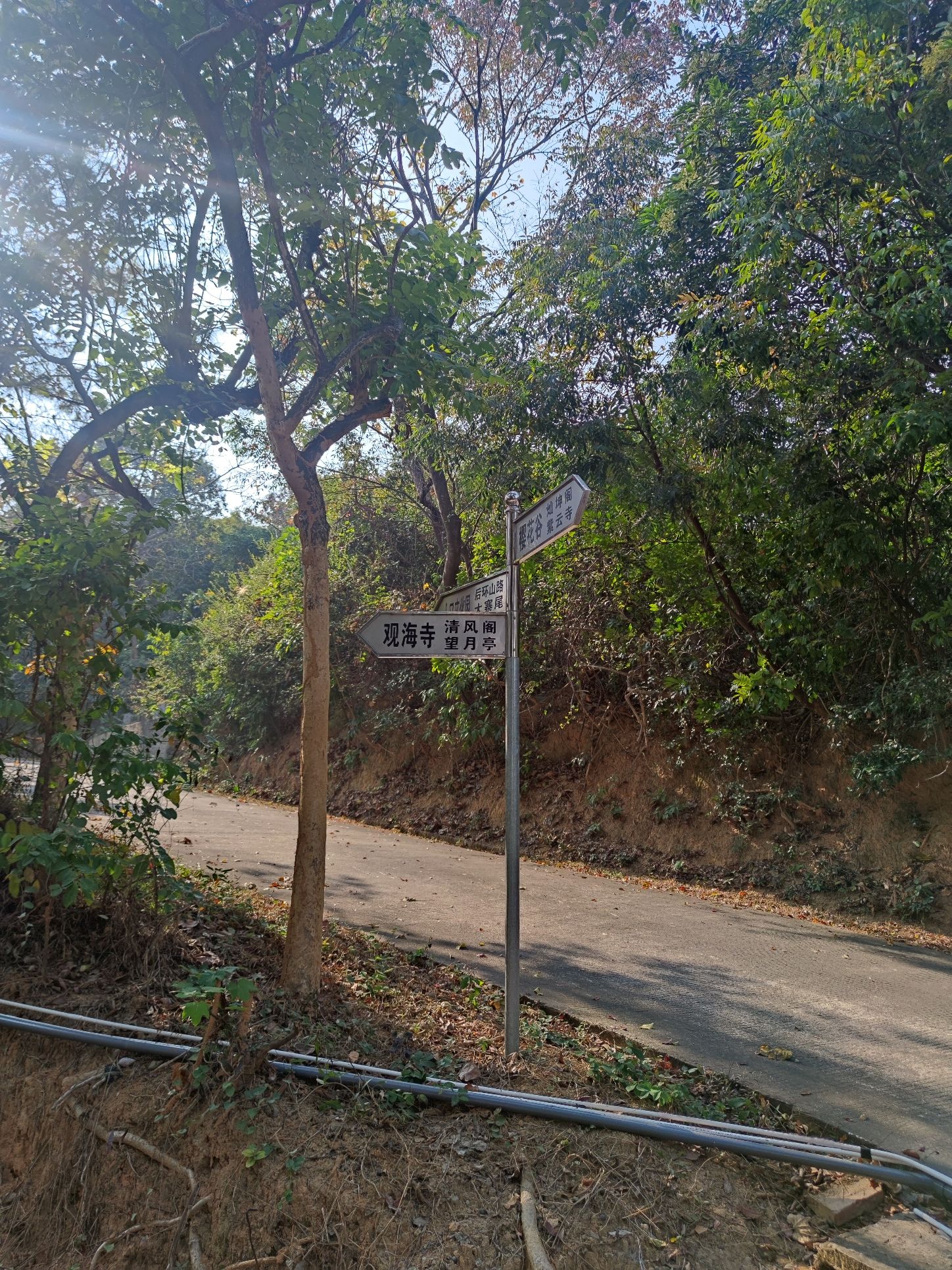 紫云公园旅行图片 3