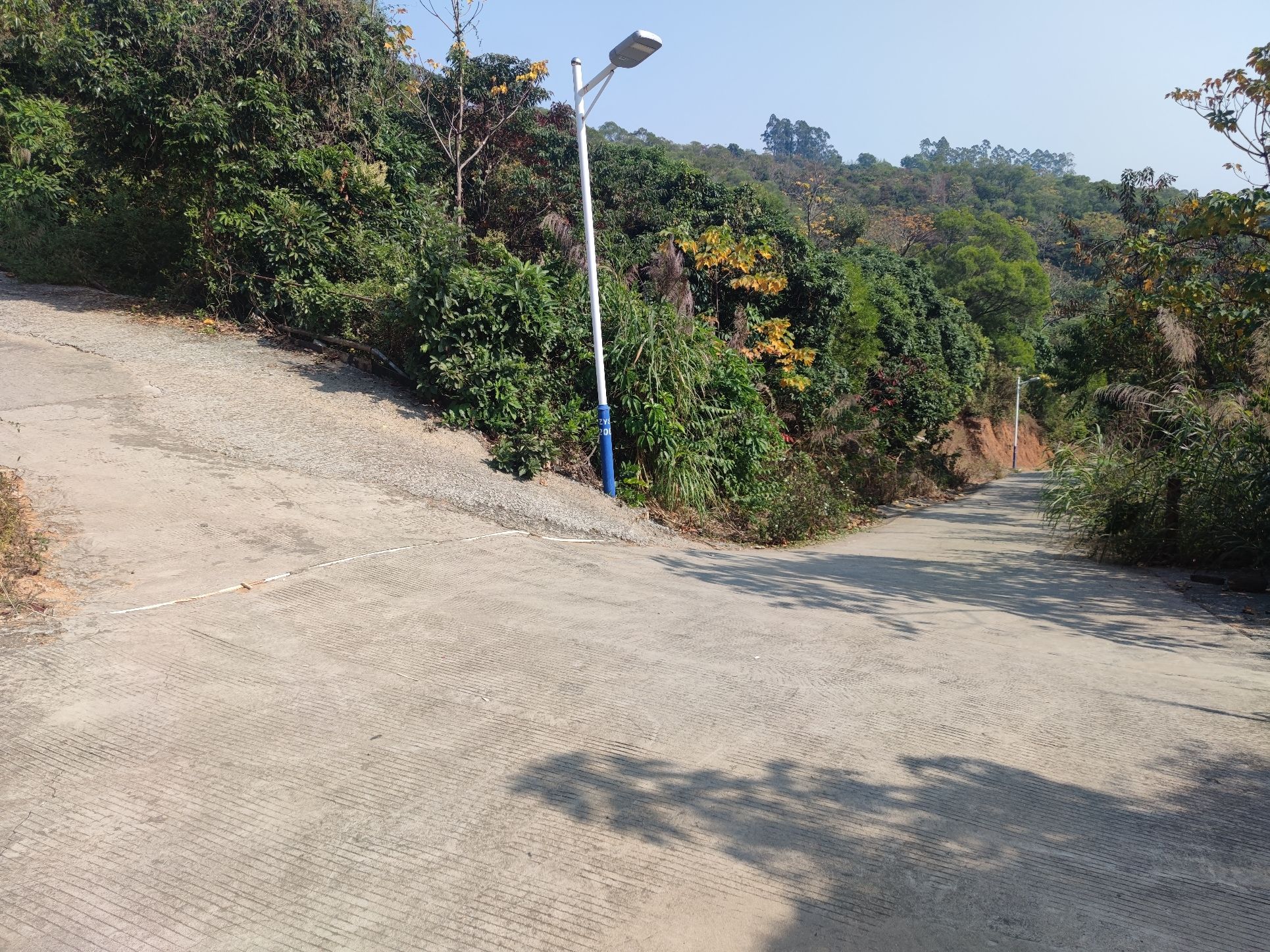 紫云公园旅行图片 1