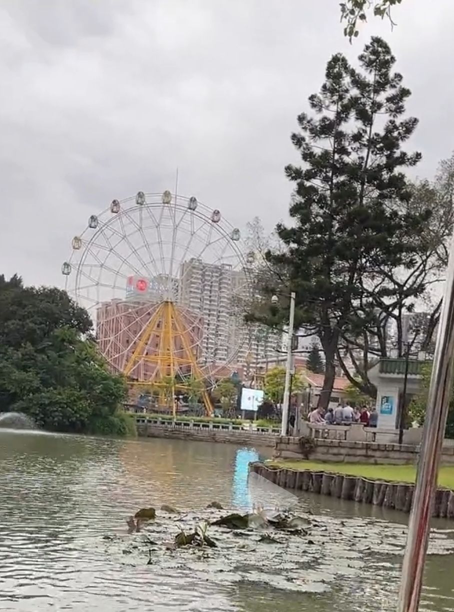 九龙公园旅行图片 3