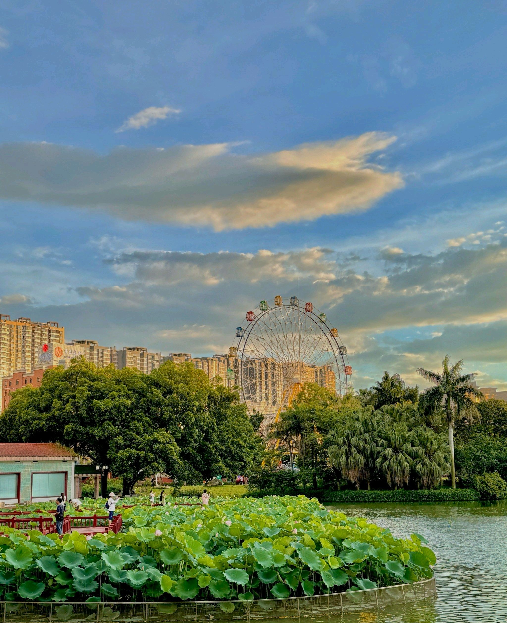九龙公园旅行图片 2