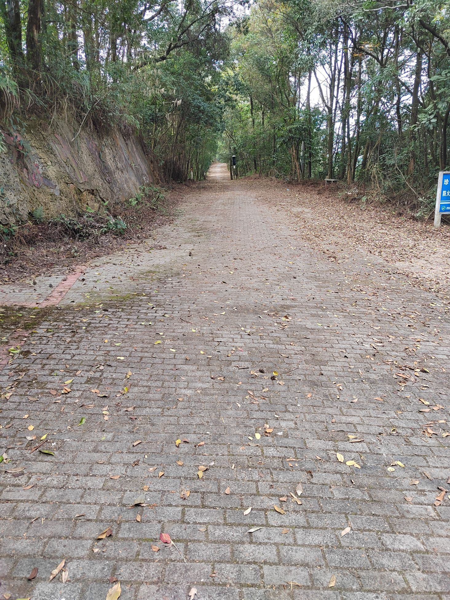紫荆山风景区旅行图片 3