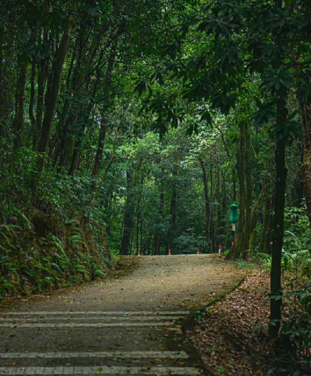 紫荆山风景区旅行图片 3