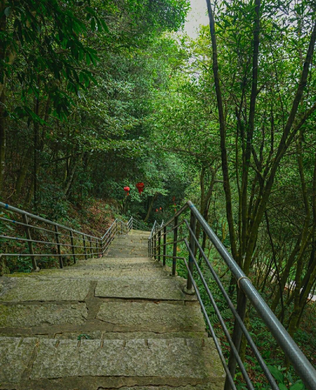 紫荆山风景区旅行图片 2