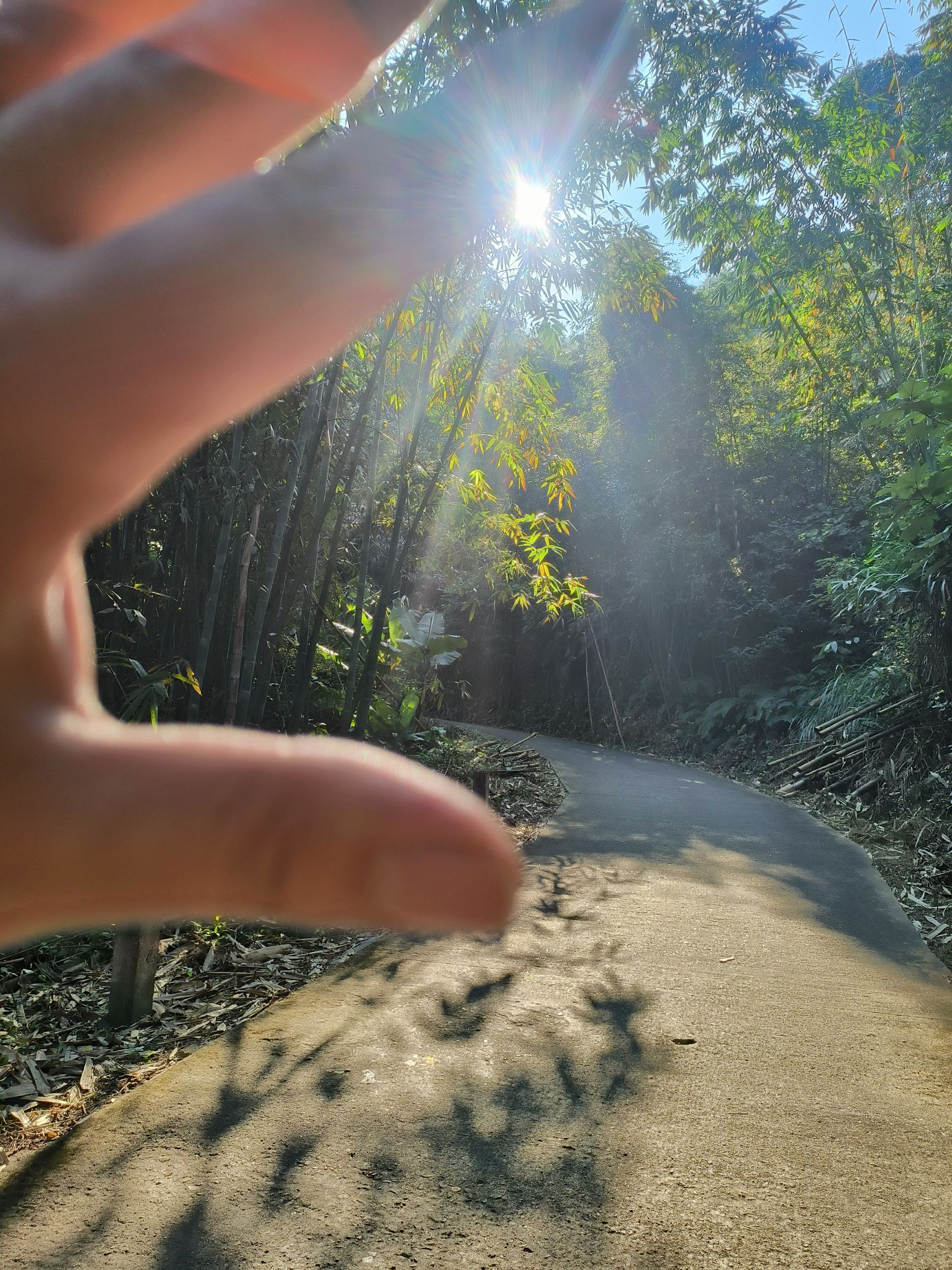 紫荆山风景区旅行图片 1