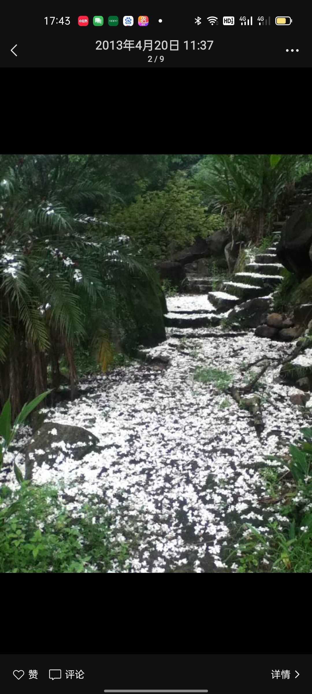 大帽山休闲农场旅行图片 2