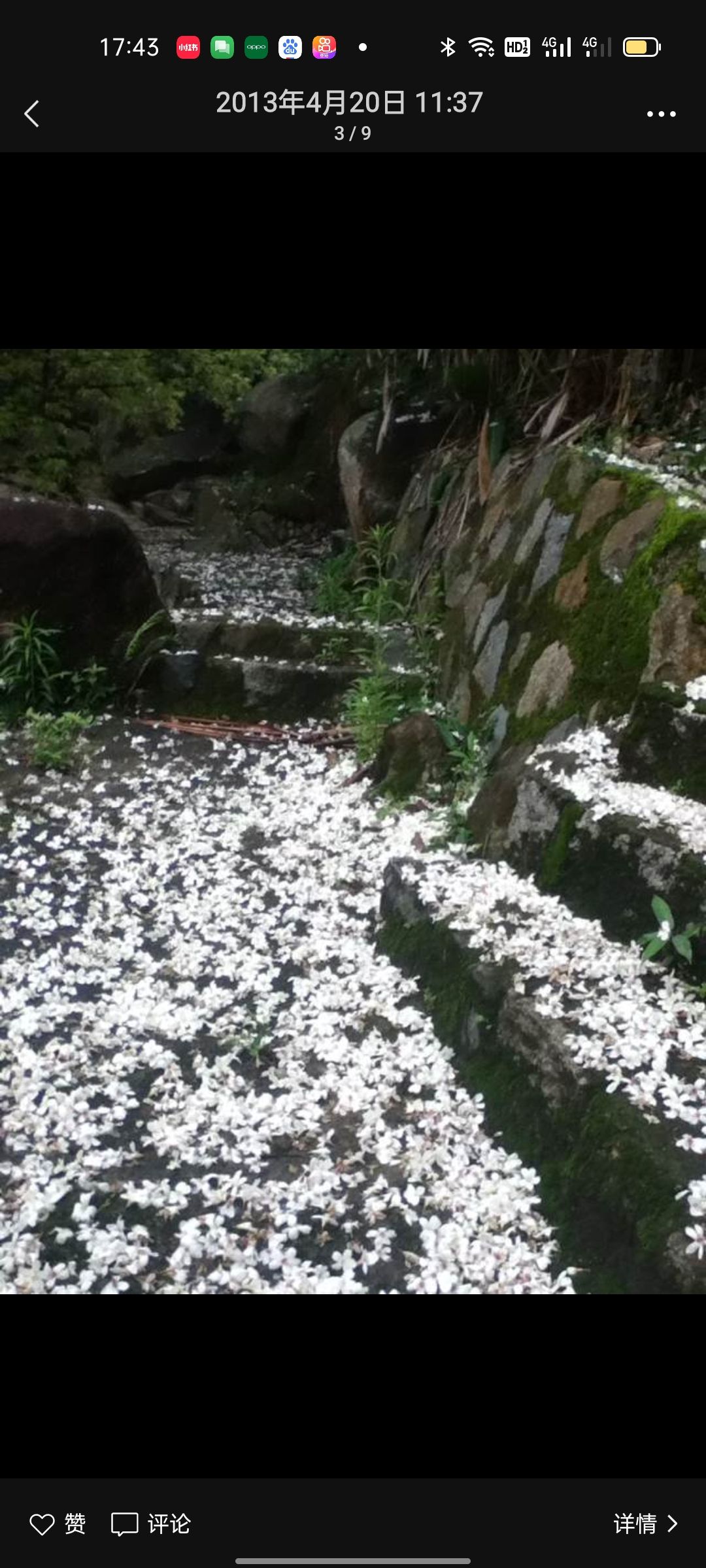 大帽山休闲农场旅行图片 1