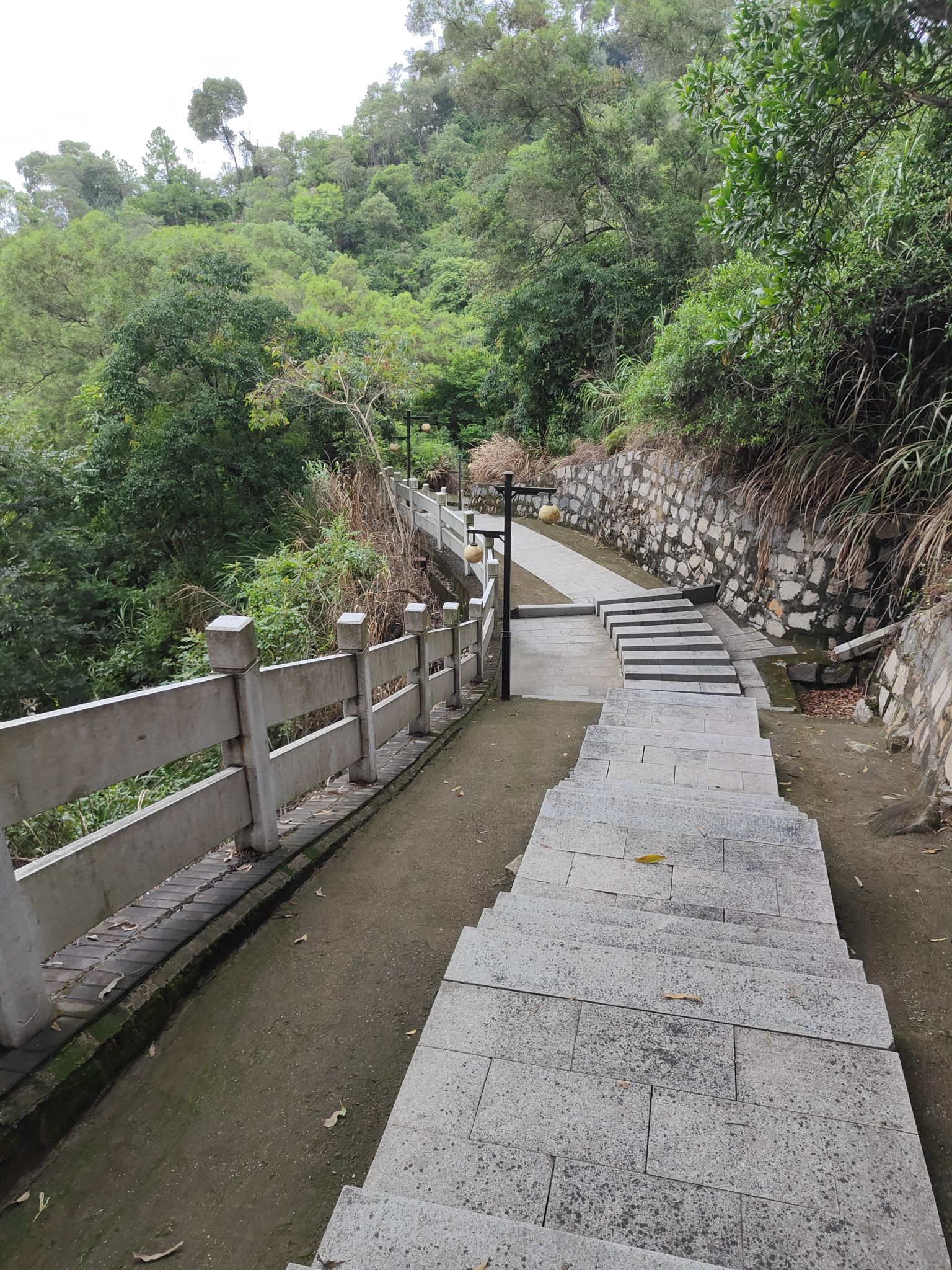龙文塔旅行图片 1