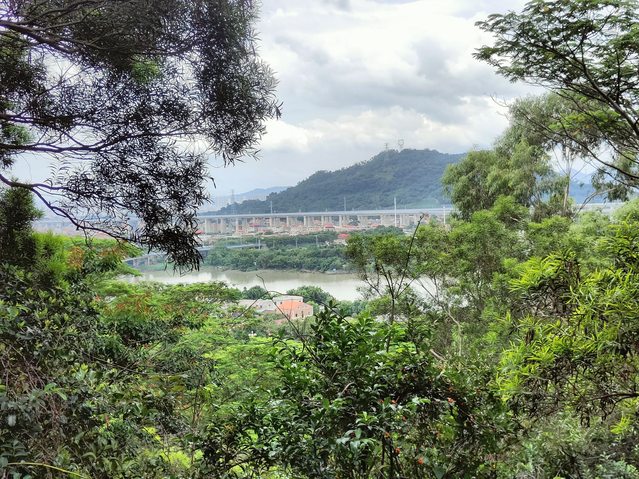 龙文塔旅行图片 3