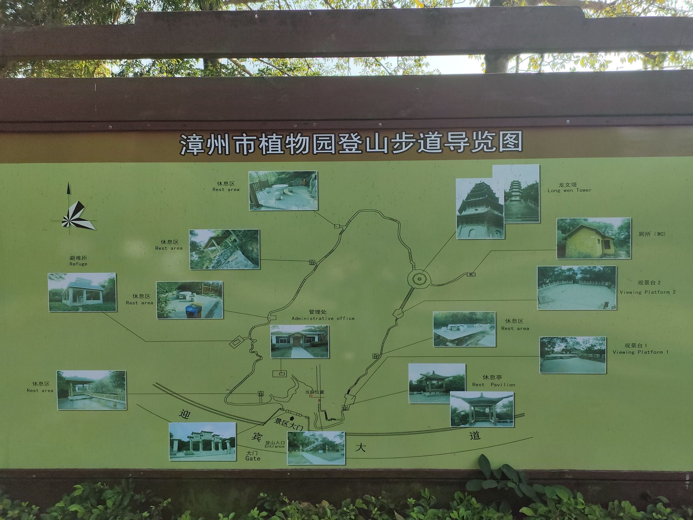 龙文塔旅行图片 2