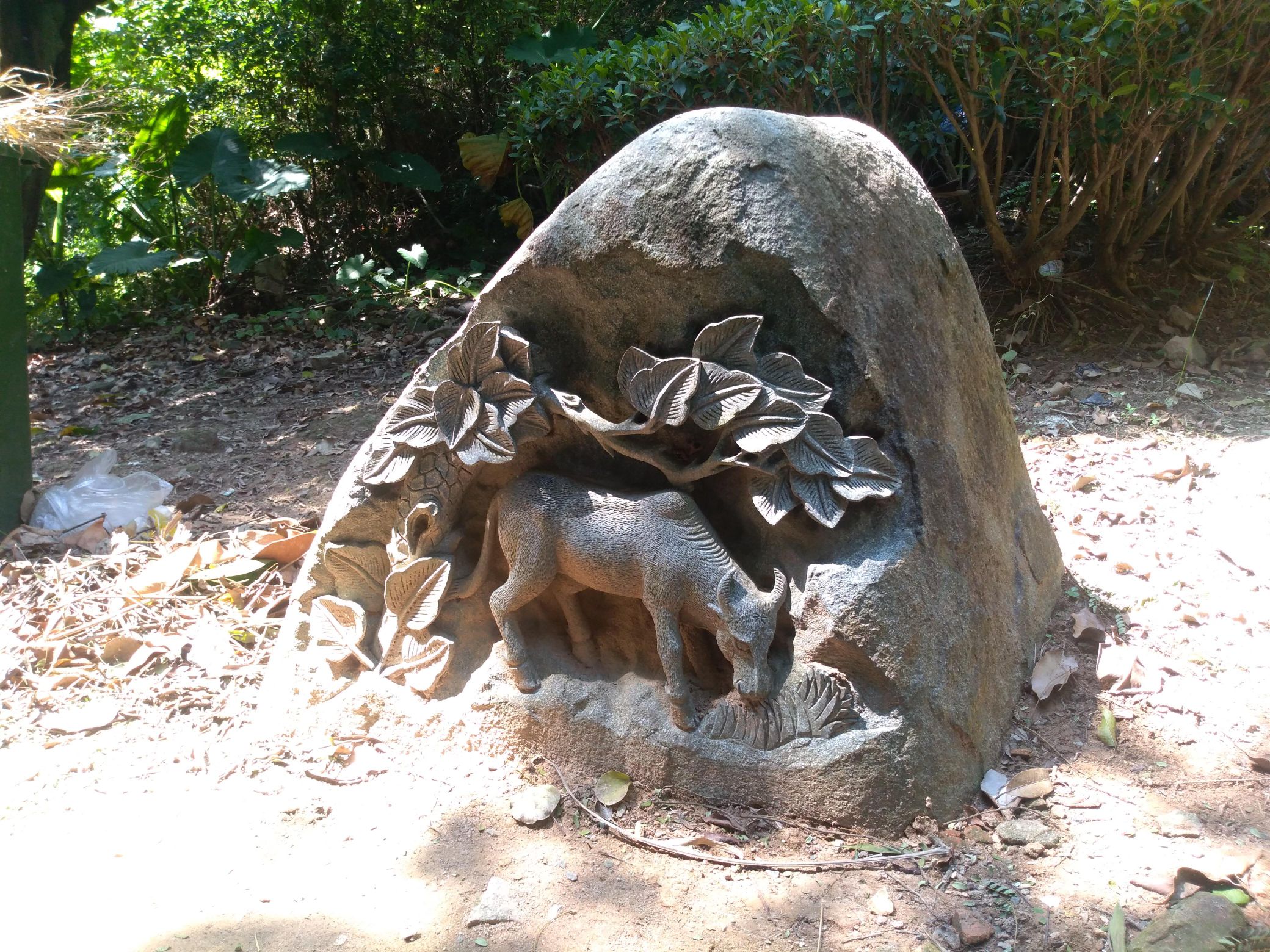 龙文塔旅行图片 3