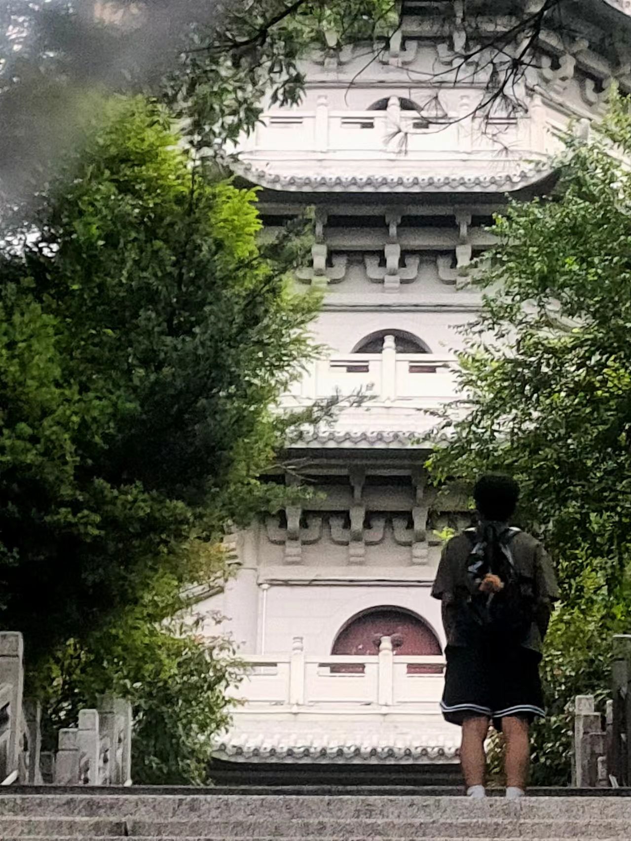 龙文塔旅行图片 3