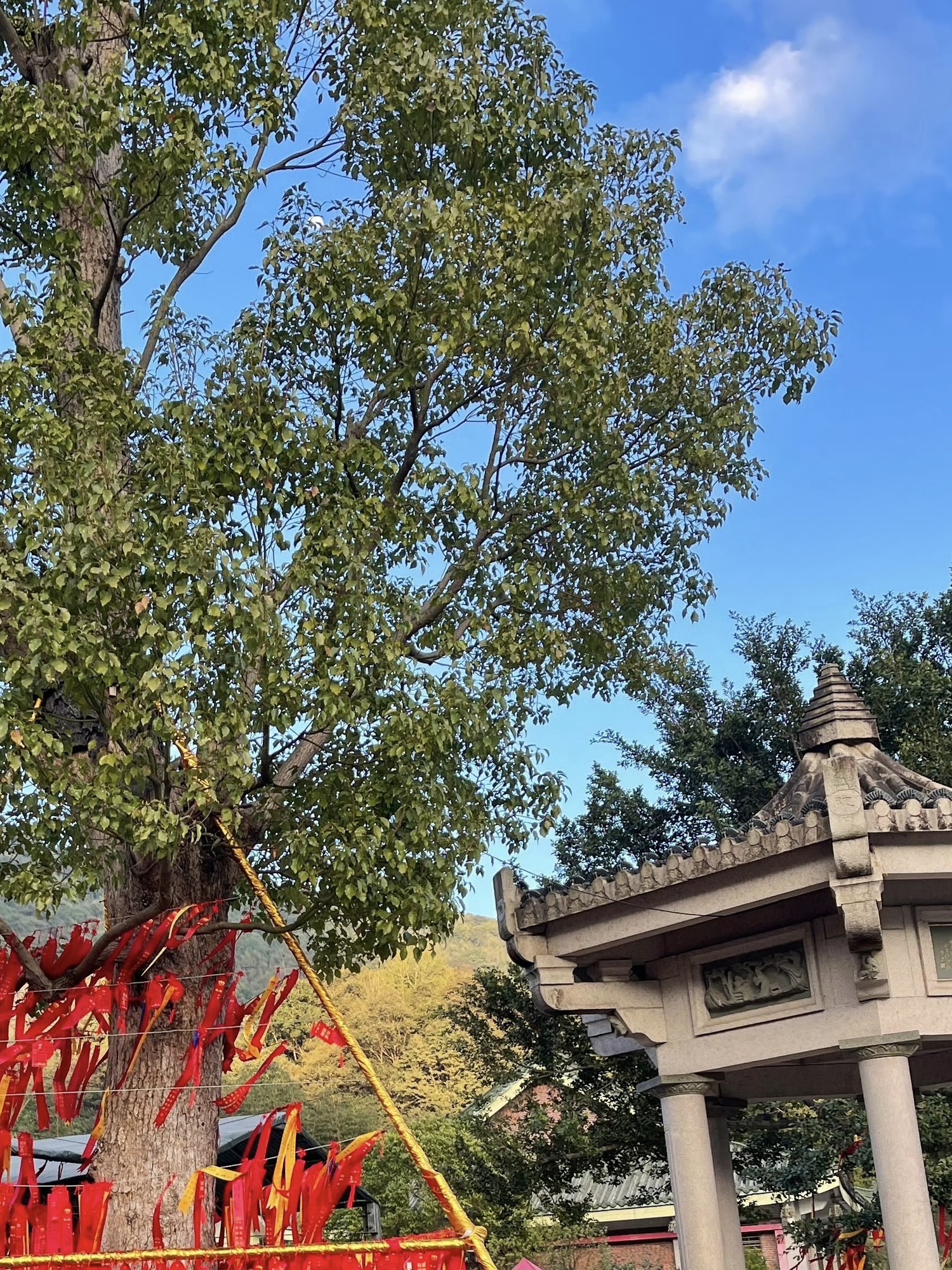 平和县三平风景区旅行图片 2
