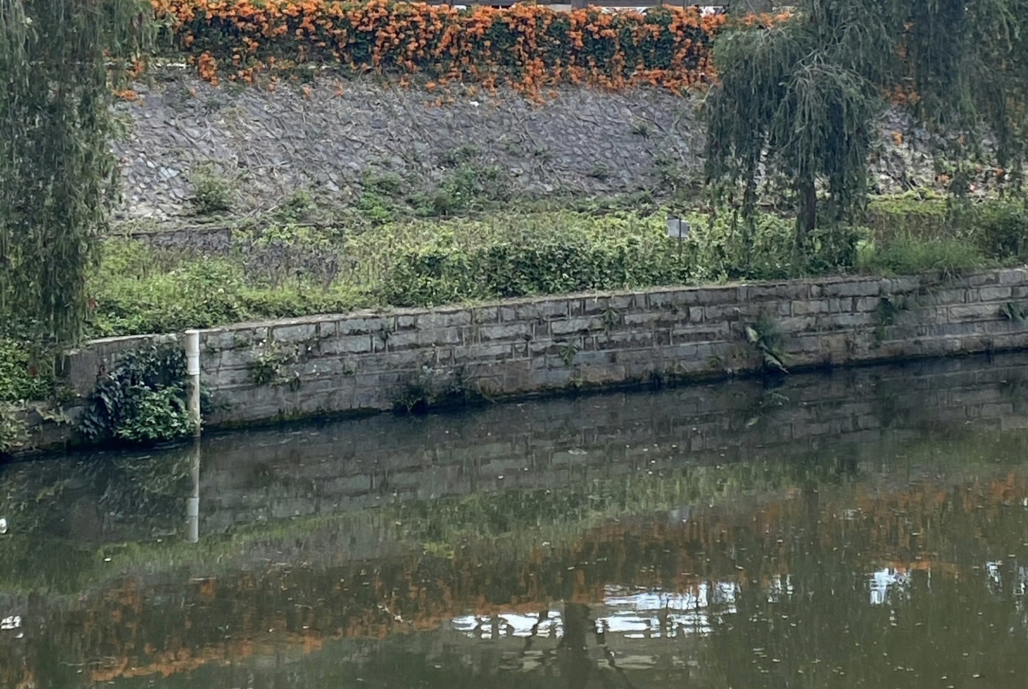 平和县三平风景区旅行图片 2