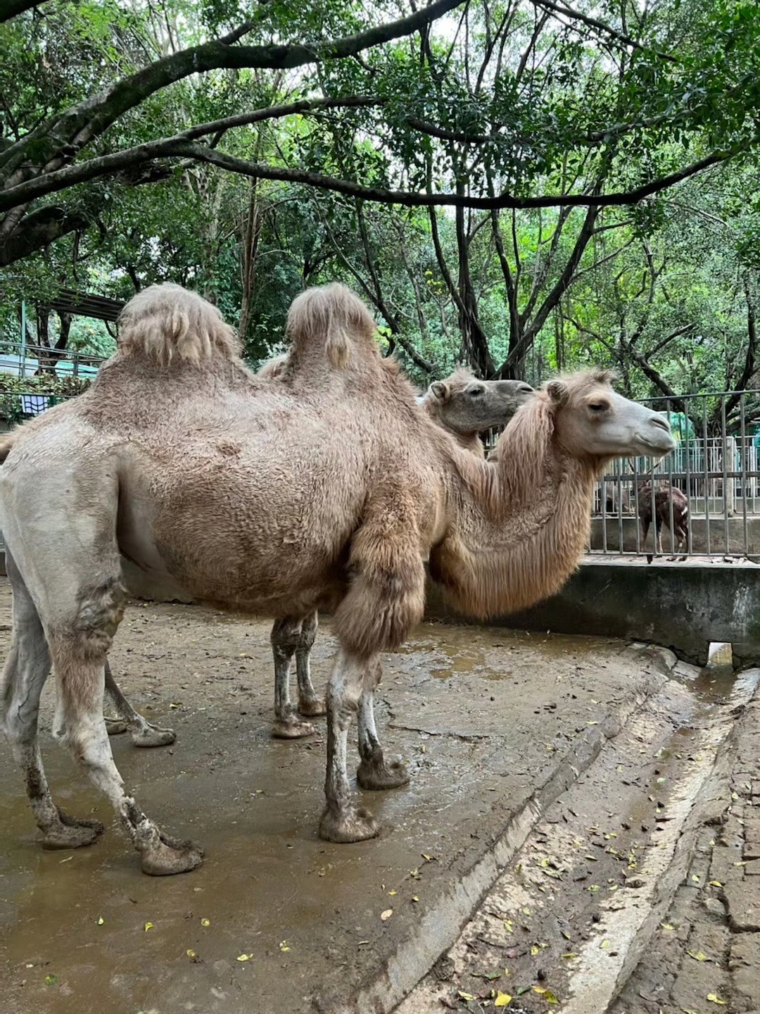 漳州市动物园旅行图片 2