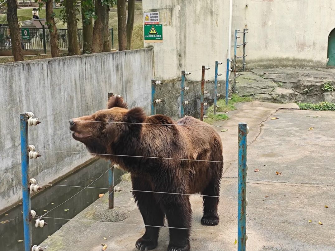 漳州市动物园旅行图片 1
