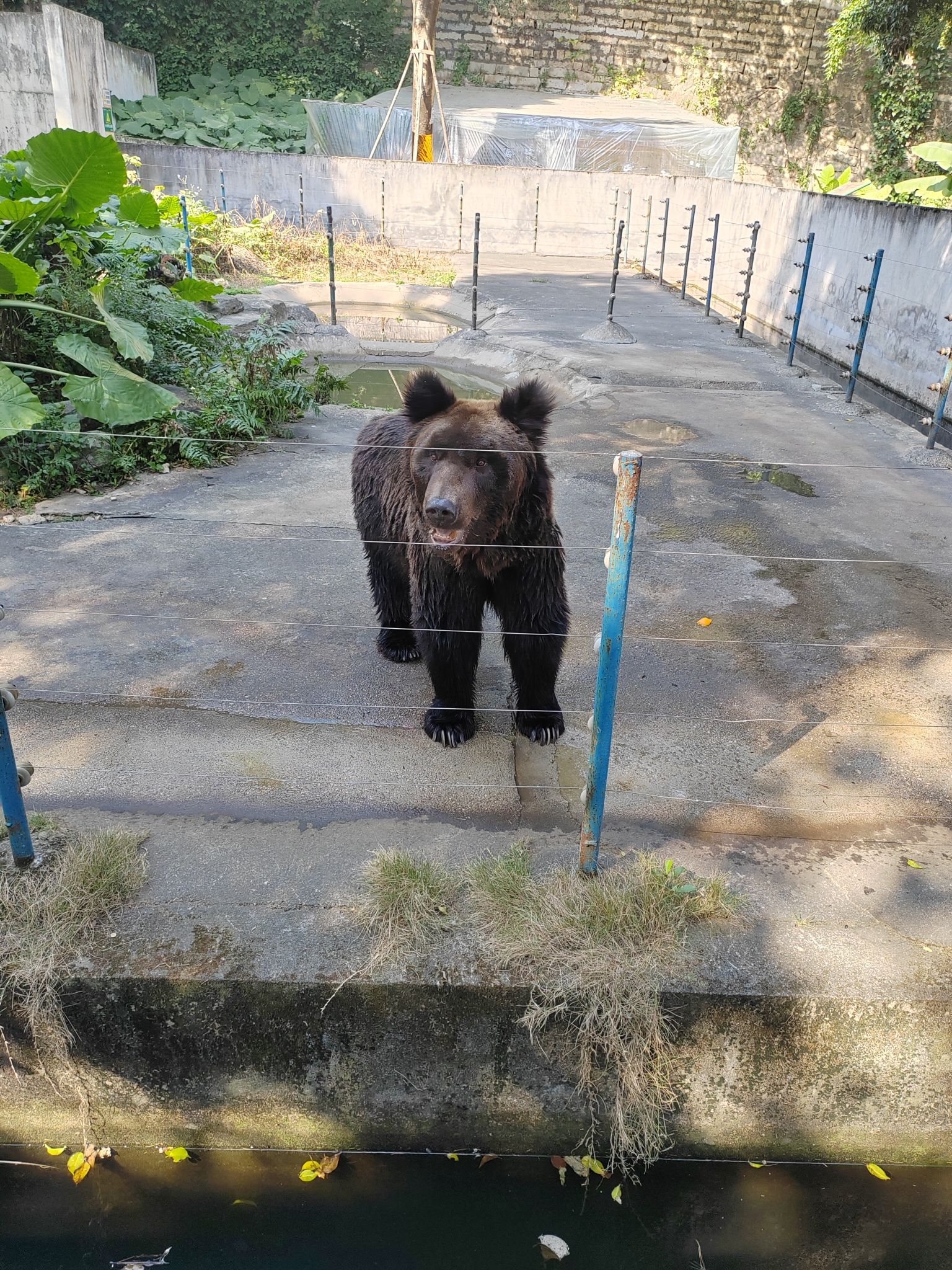 漳州市动物园旅行图片 1