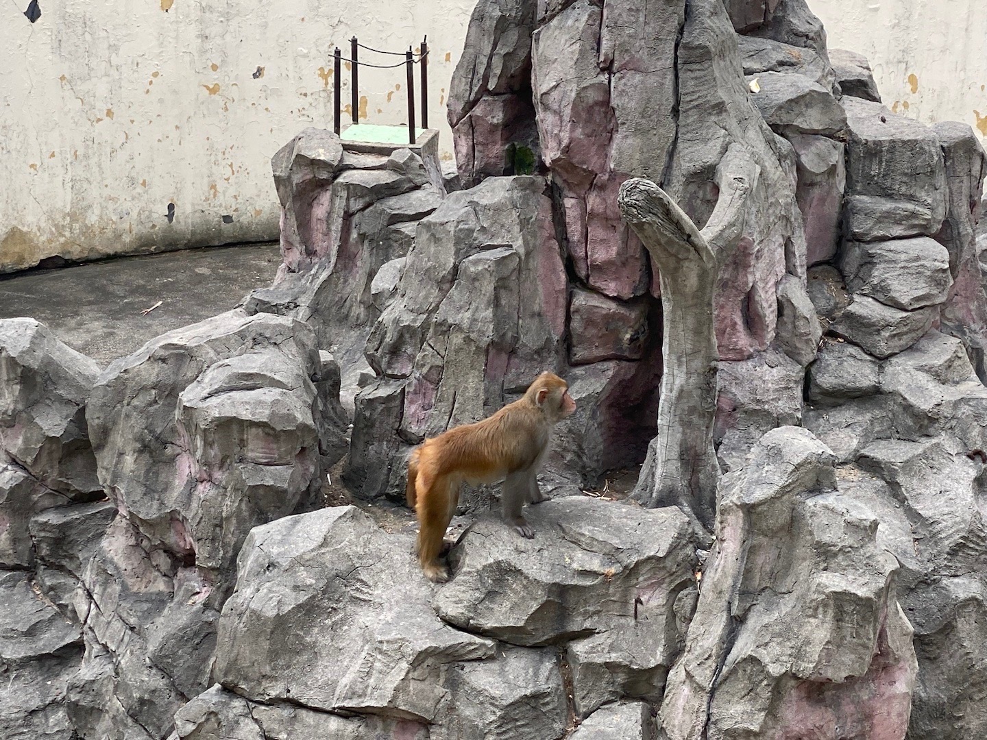 漳州市动物园旅行图片 3