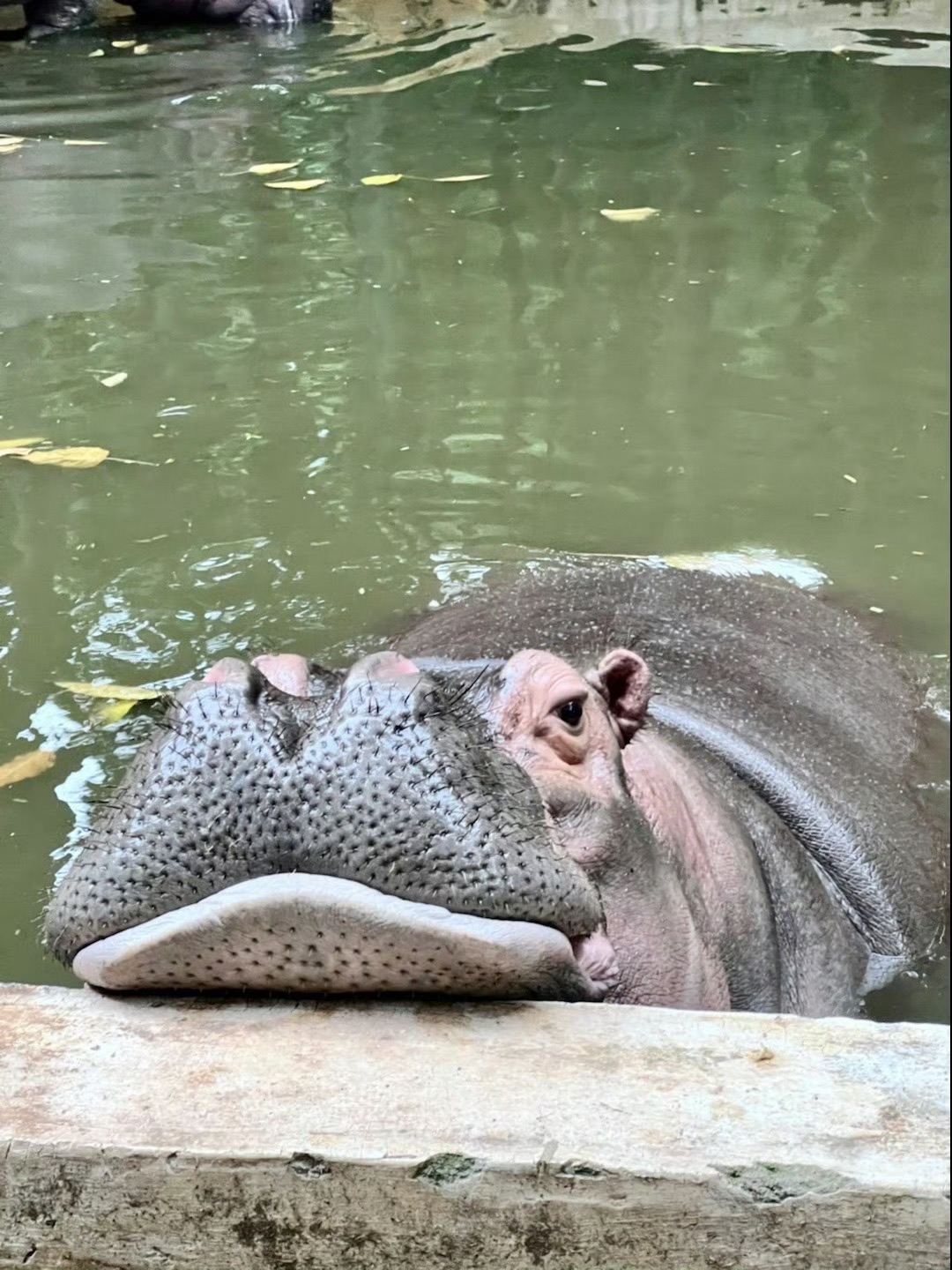 漳州市动物园旅行图片 1