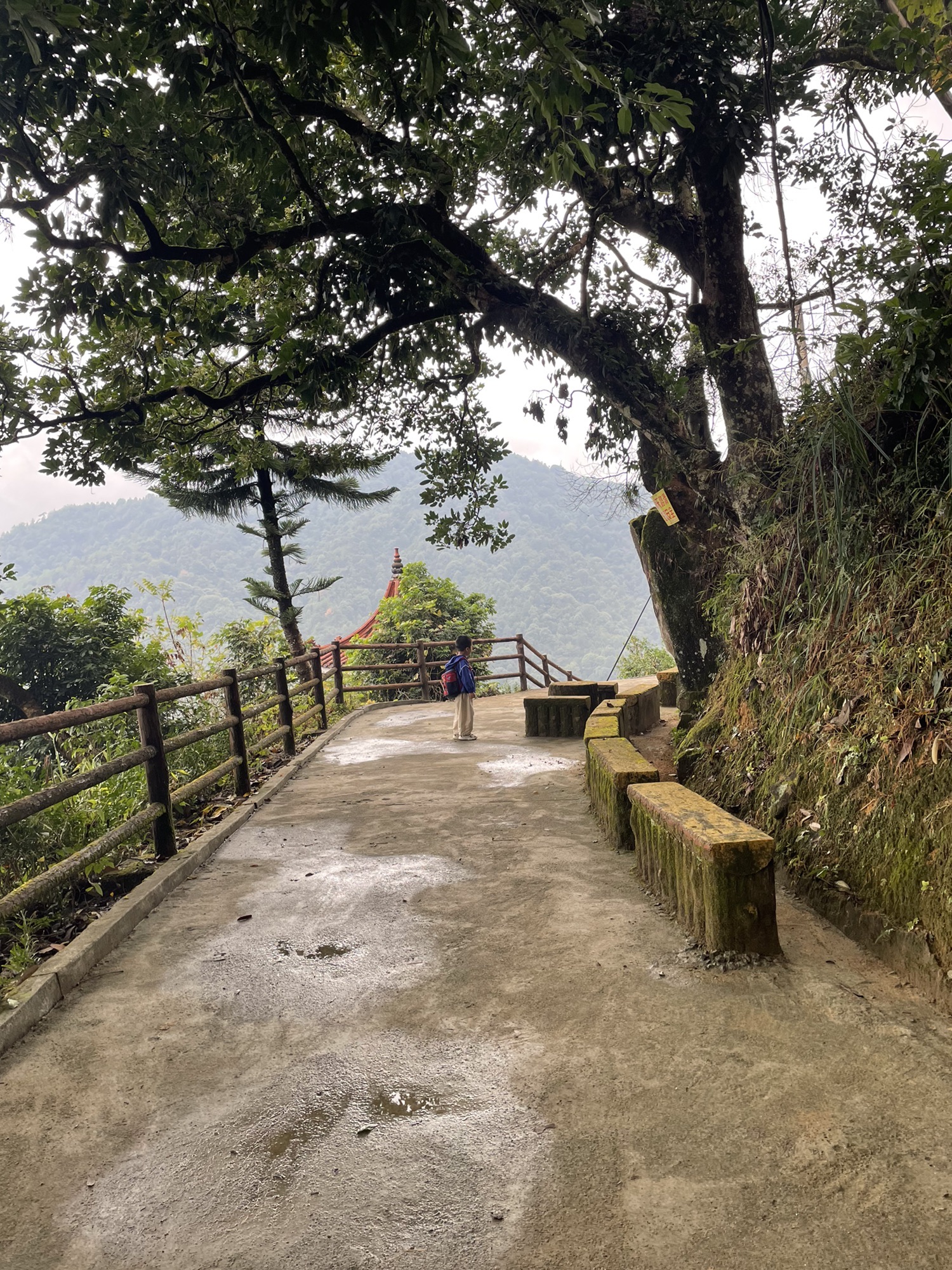 鹅仙洞旅行图片 1