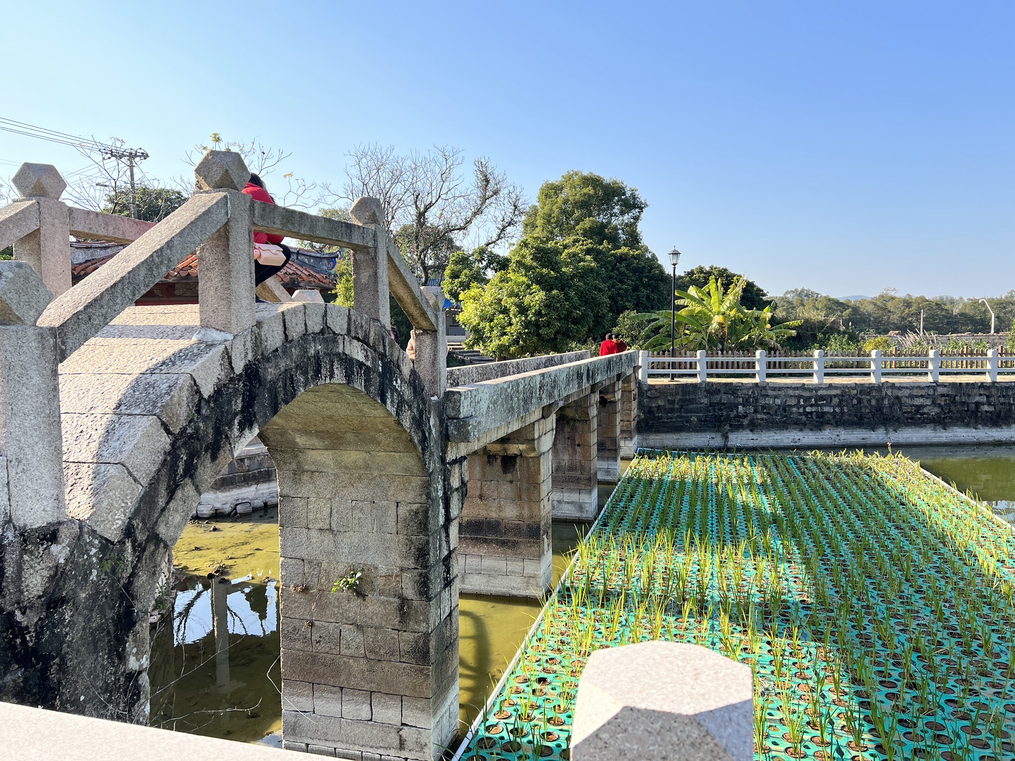 赵家堡旅行图片 1