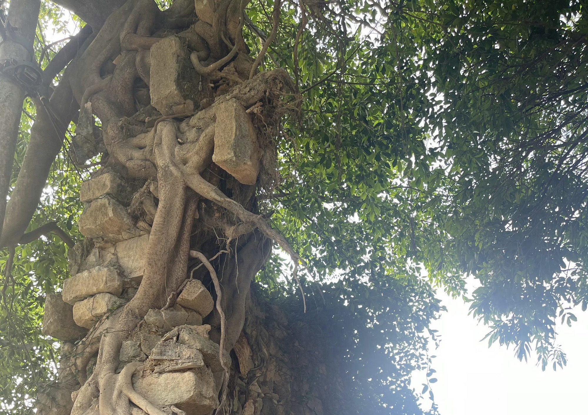 赵家堡旅行图片 2