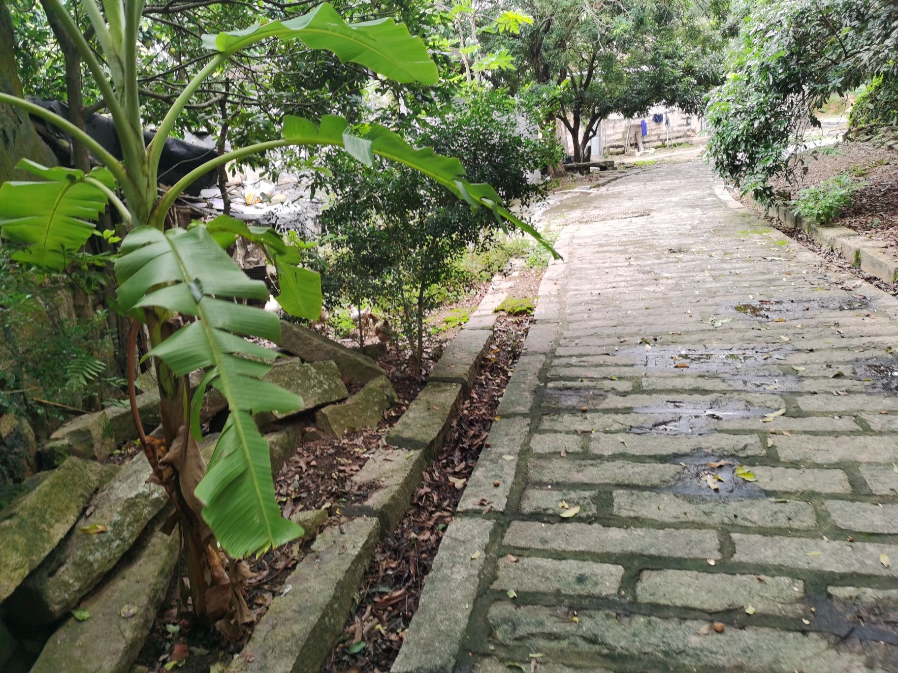 赵家堡旅行图片 3