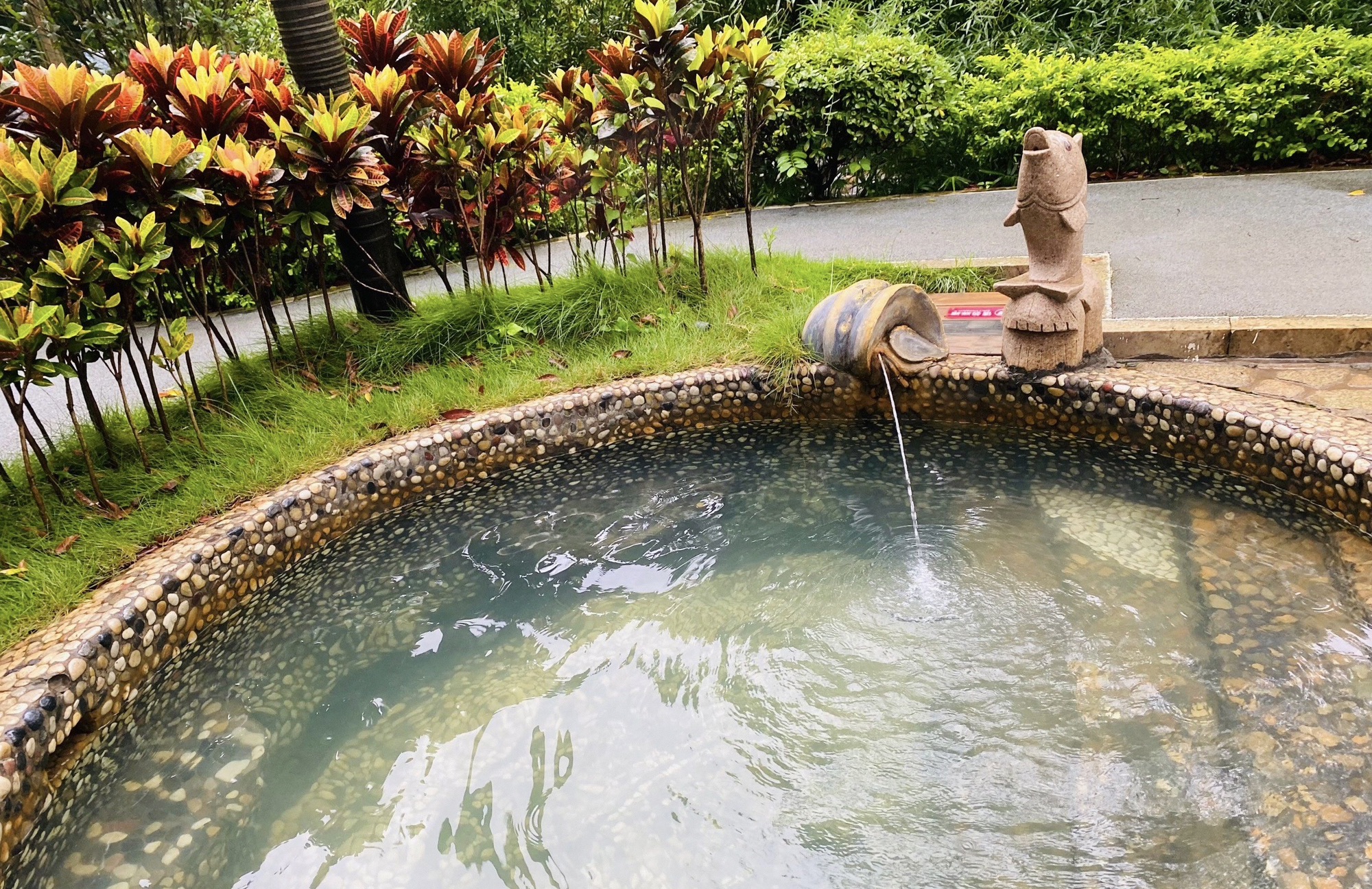 龙佳生态温泉山庄旅行图片 2