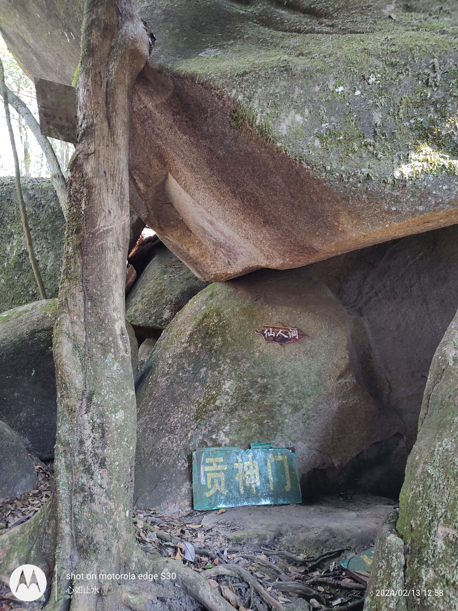 贡鸭山生态森林园旅行图片 1
