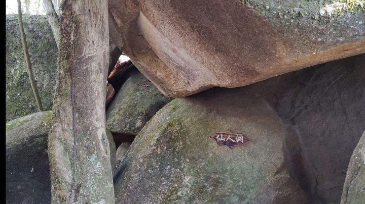 贡鸭山生态森林园旅行图片 3