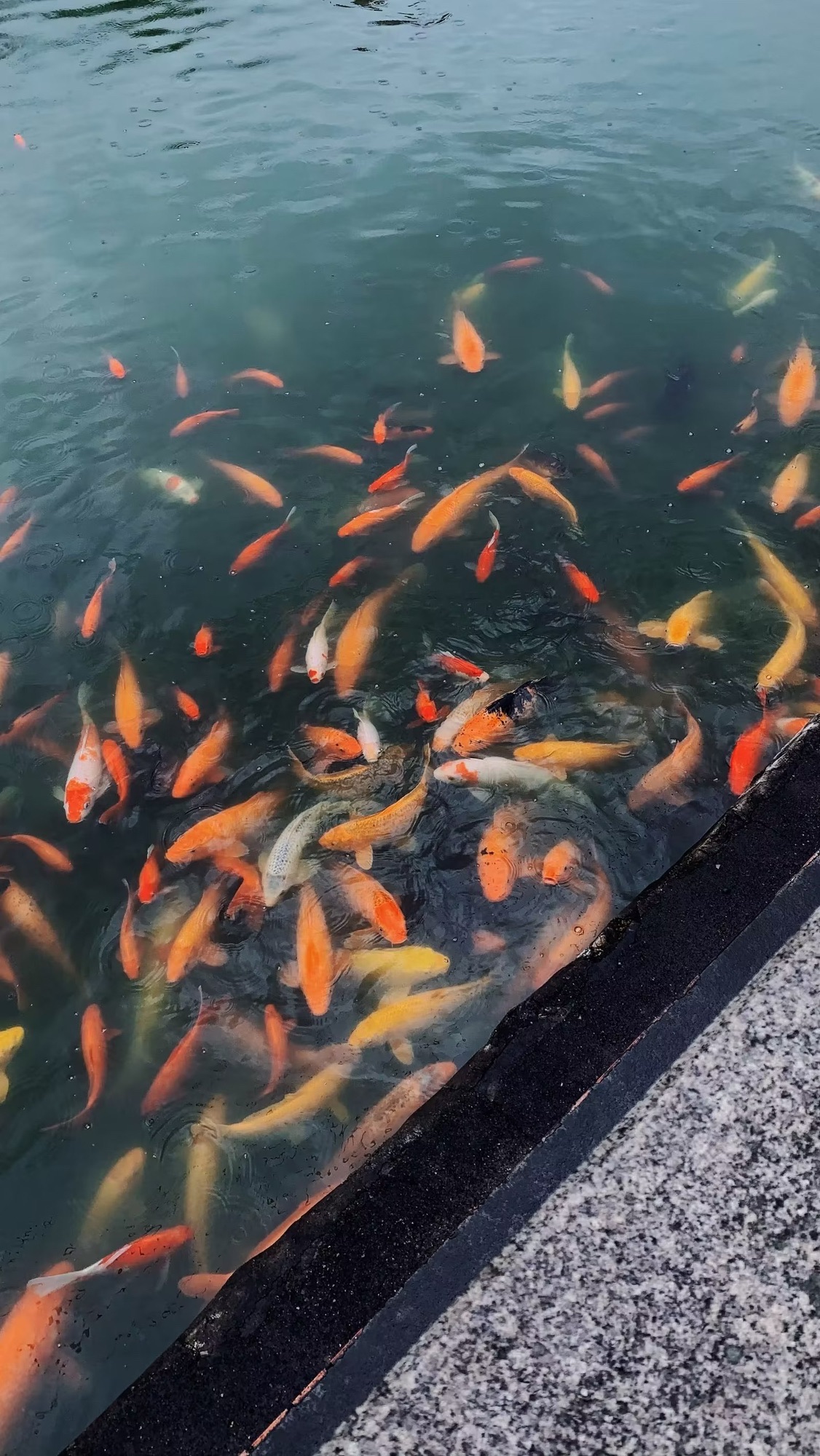 平和崎岭天湖堂旅行图片 3