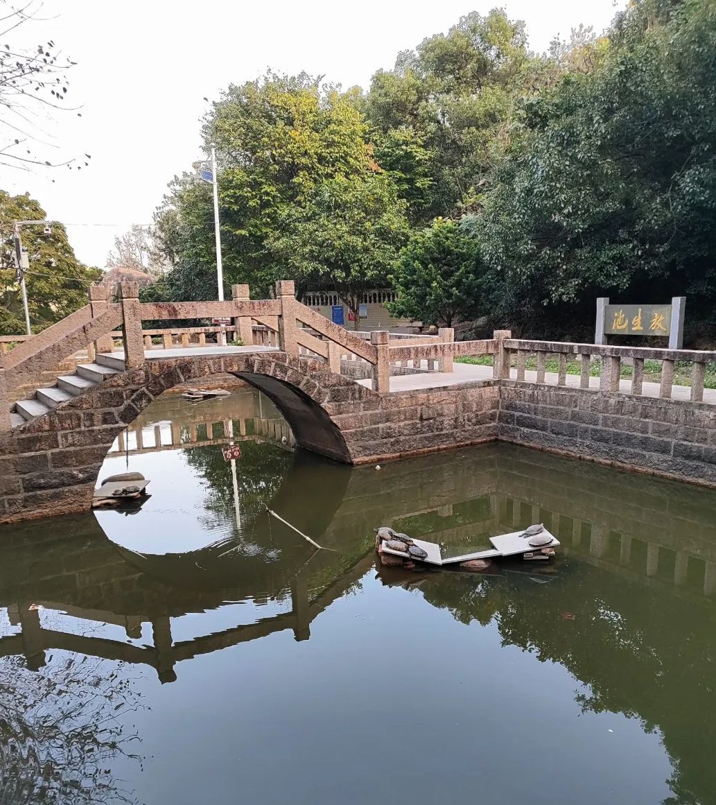 海月岩旅行图片 1