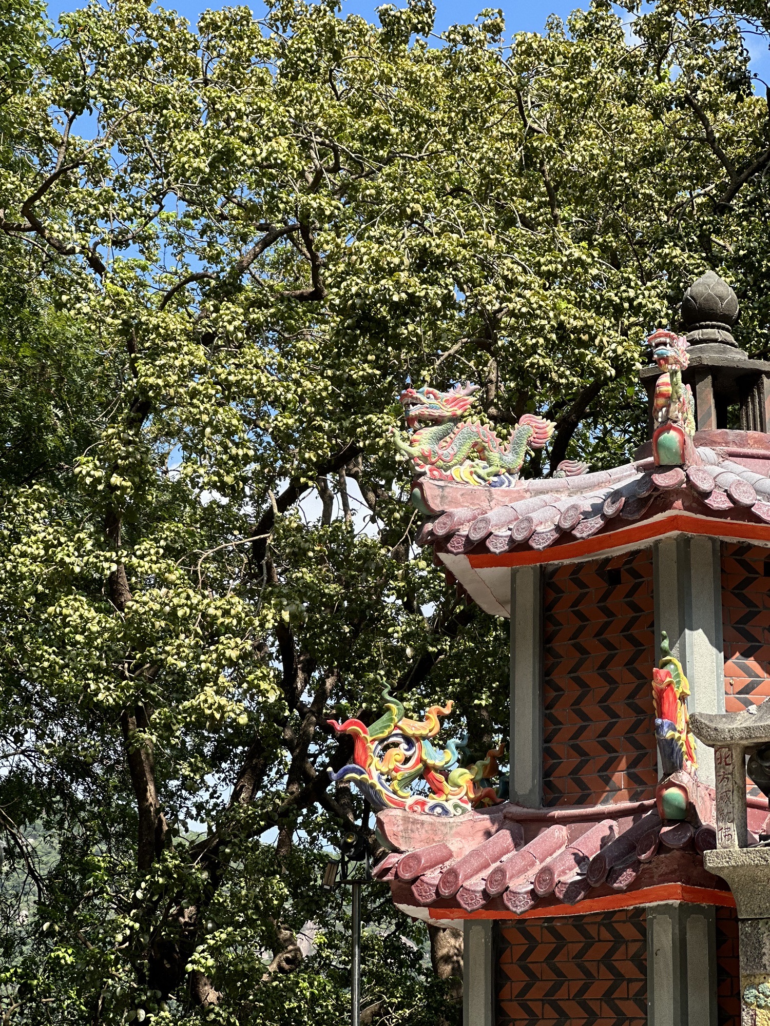 海月岩旅行图片 1