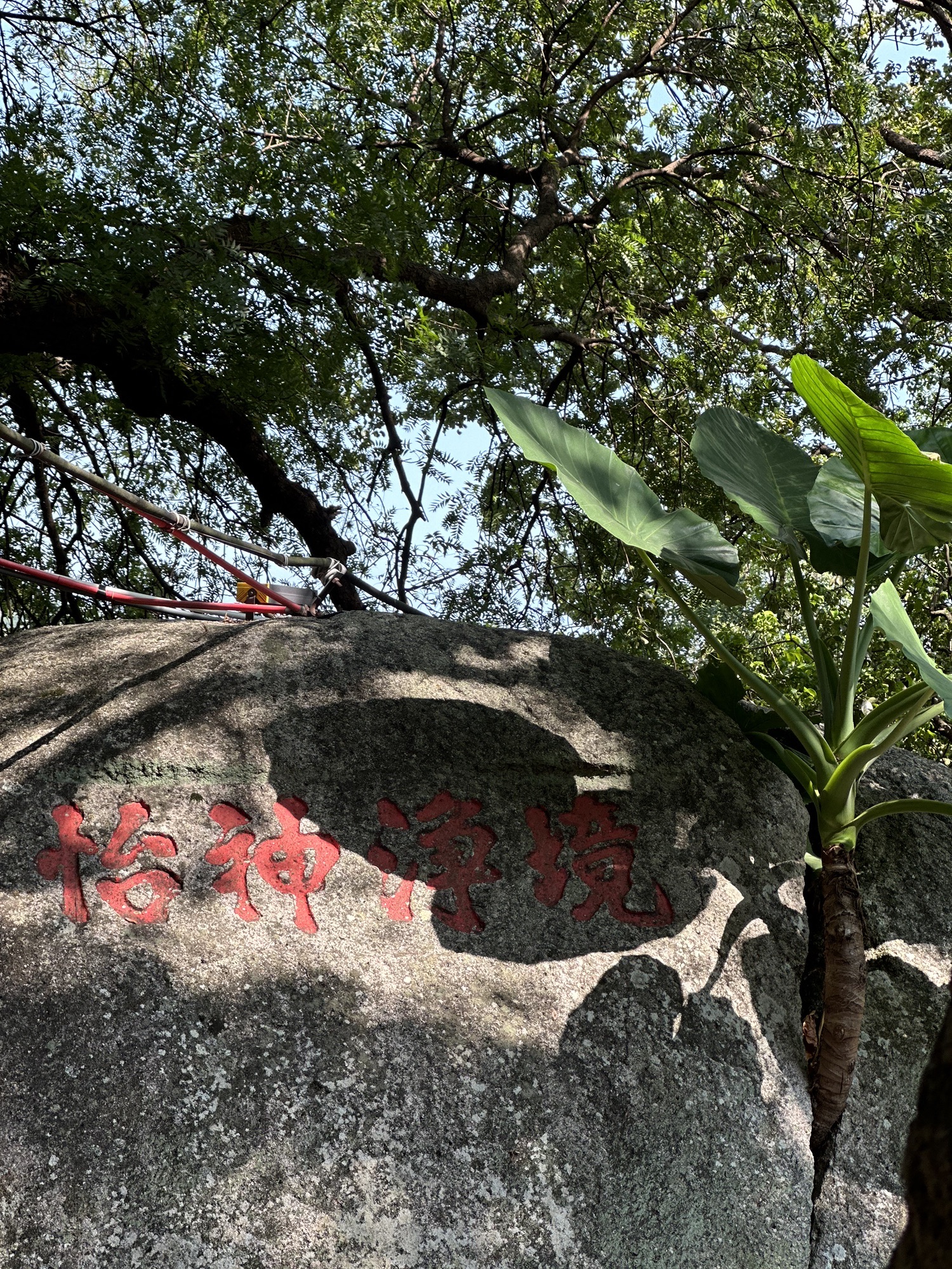 海月岩旅行图片 2
