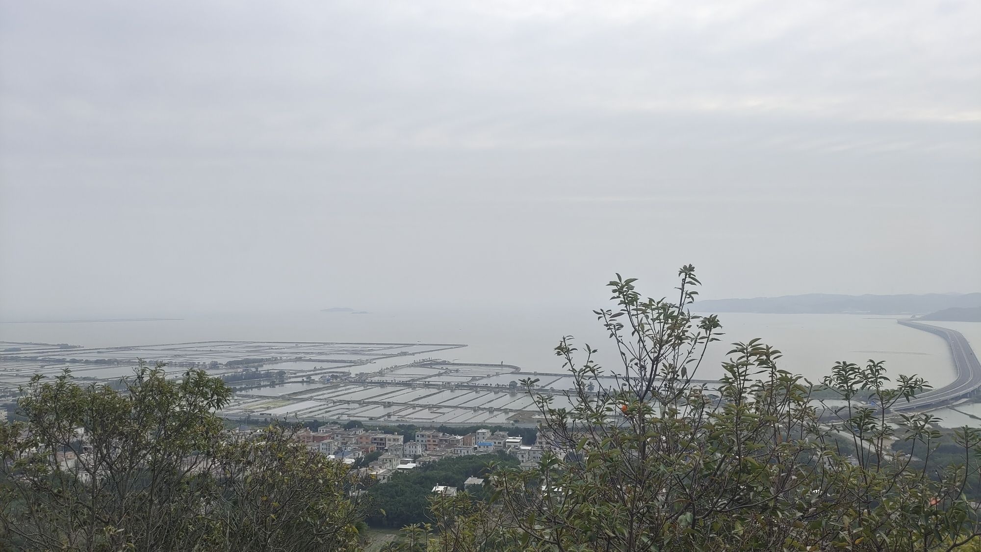 海月岩旅行图片 2
