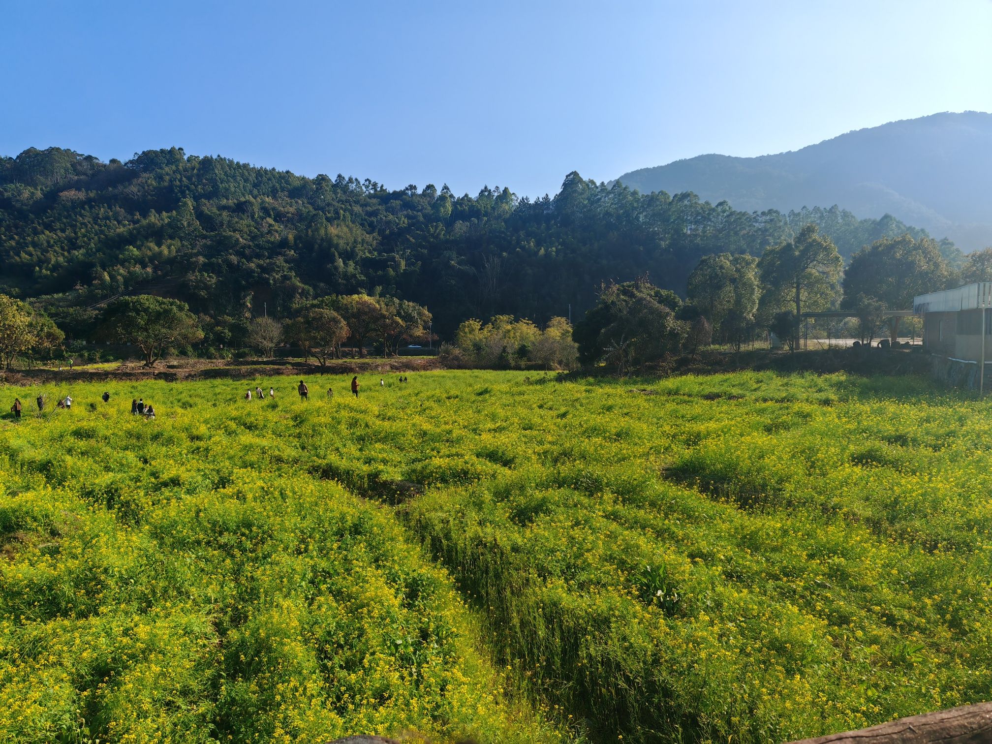 古山重景区旅行图片