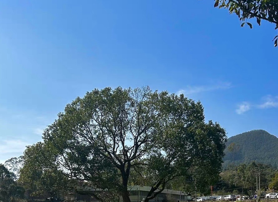 古山重景区旅行图片 3