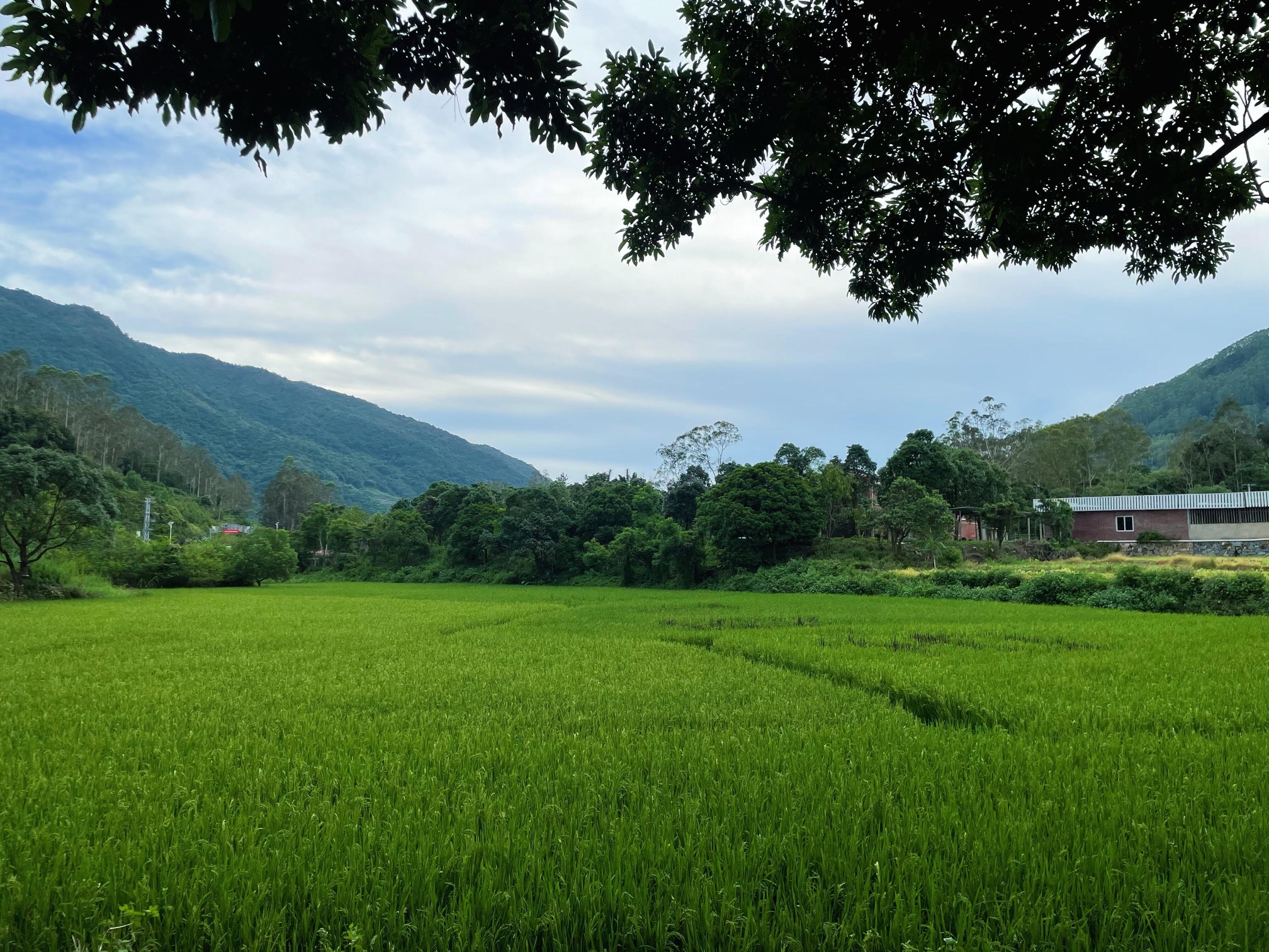古山重景区旅行图片 2