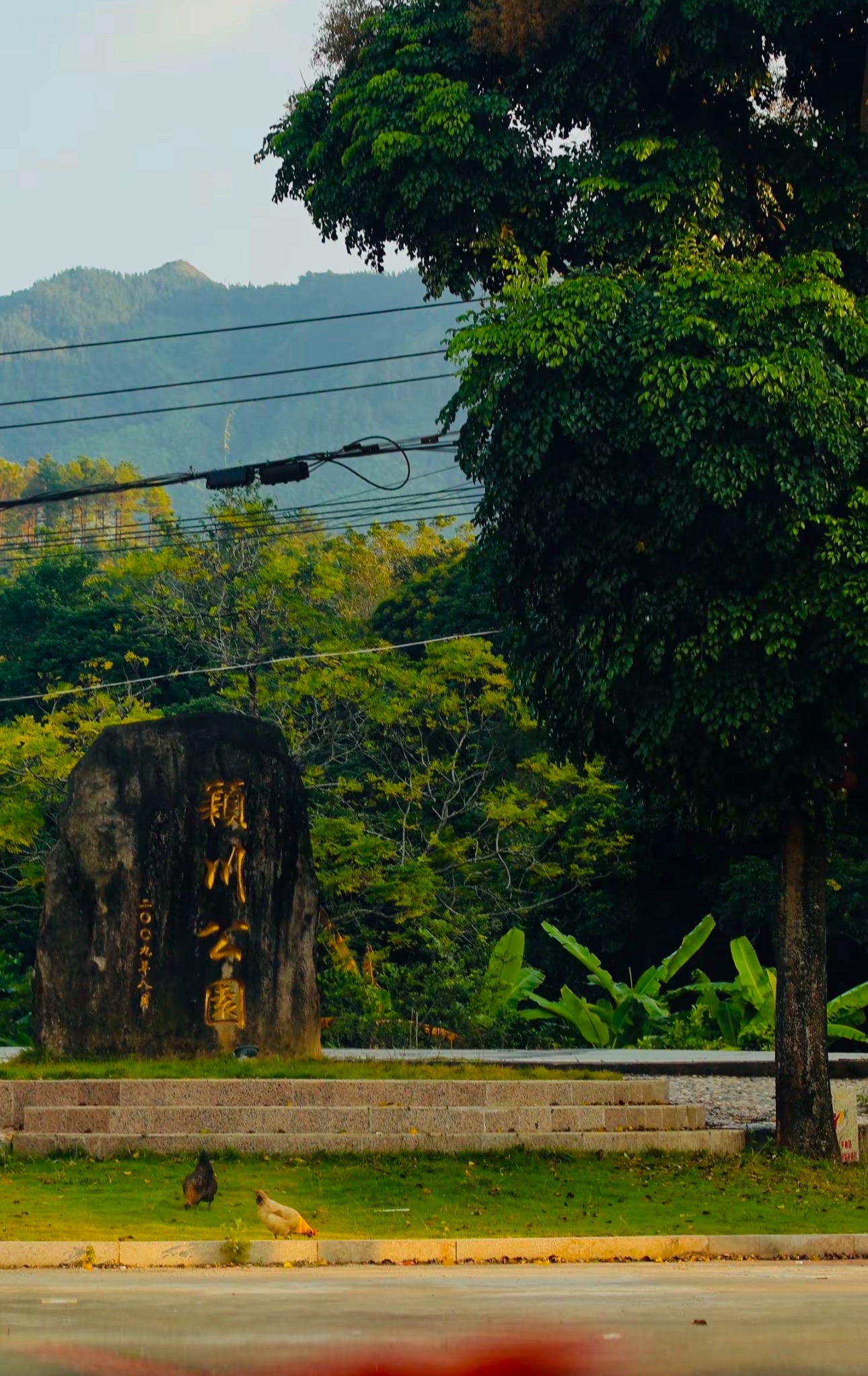 颍川公园旅行图片 1
