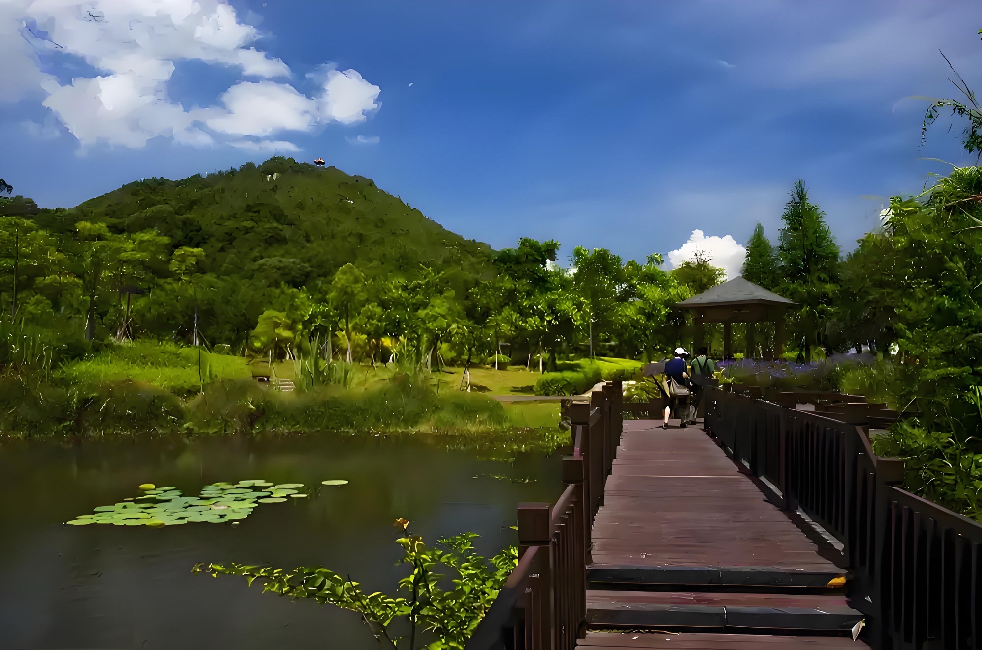 静湖公园旅行图片 1