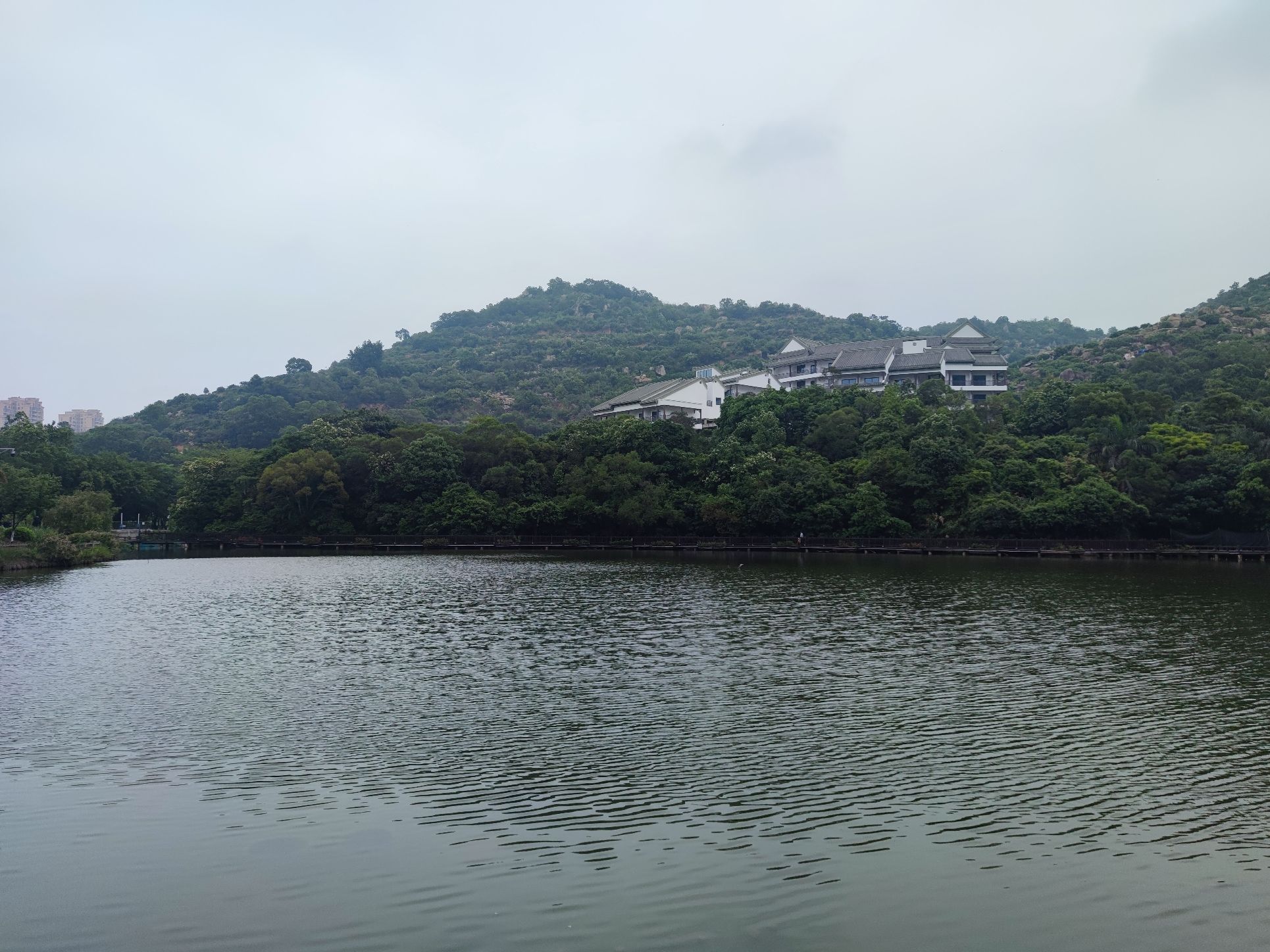 静湖公园旅行图片 3