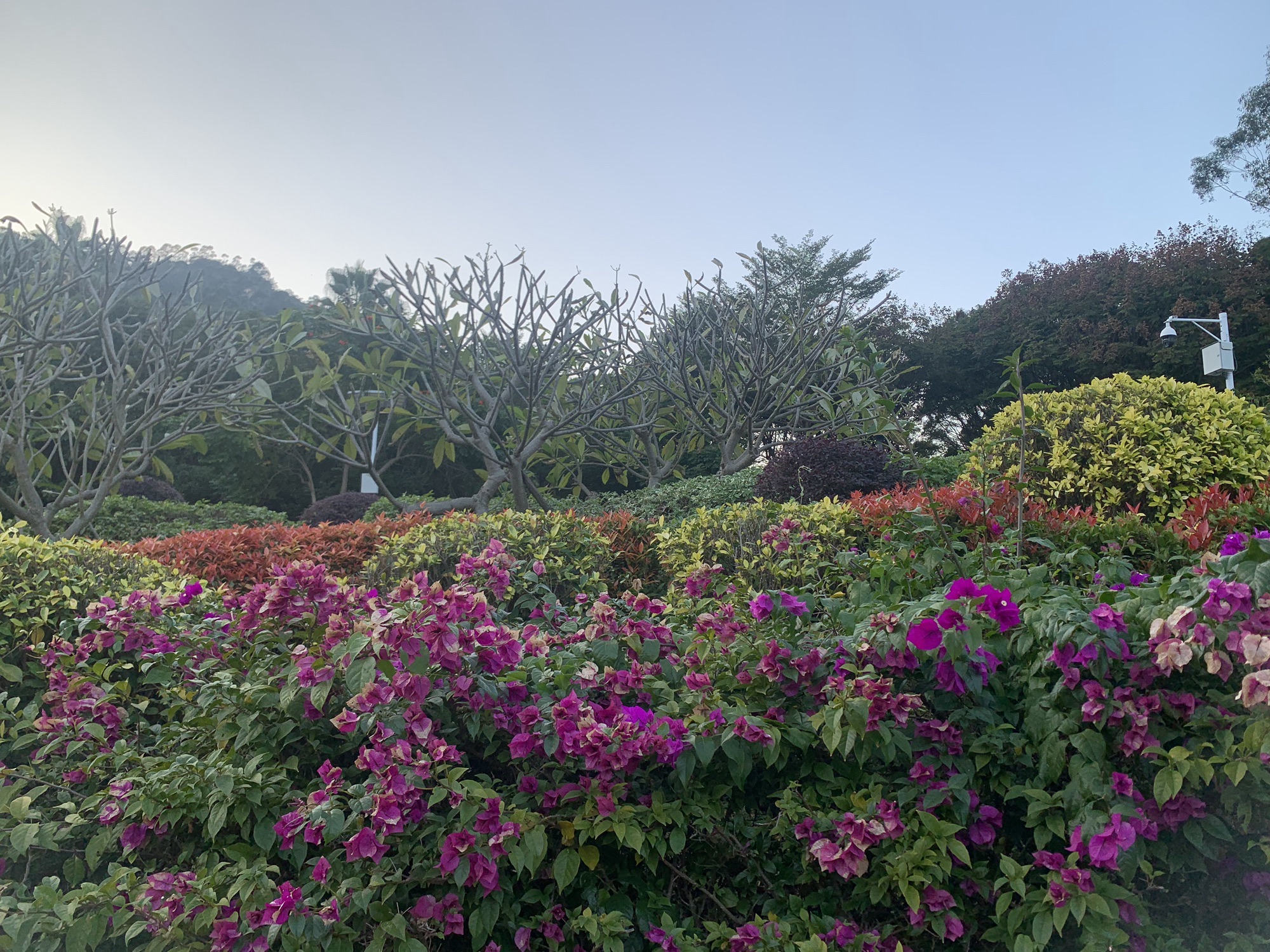 静湖公园旅行图片 2